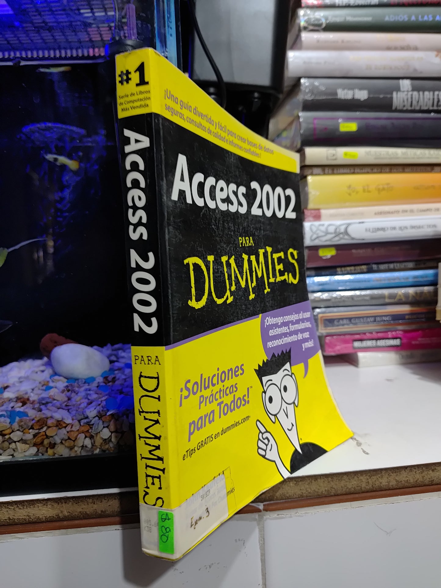 ACCES 2002 PARA DUMMIES POR JOHN KAUFLED USADO COMPUTACION JUAREZ