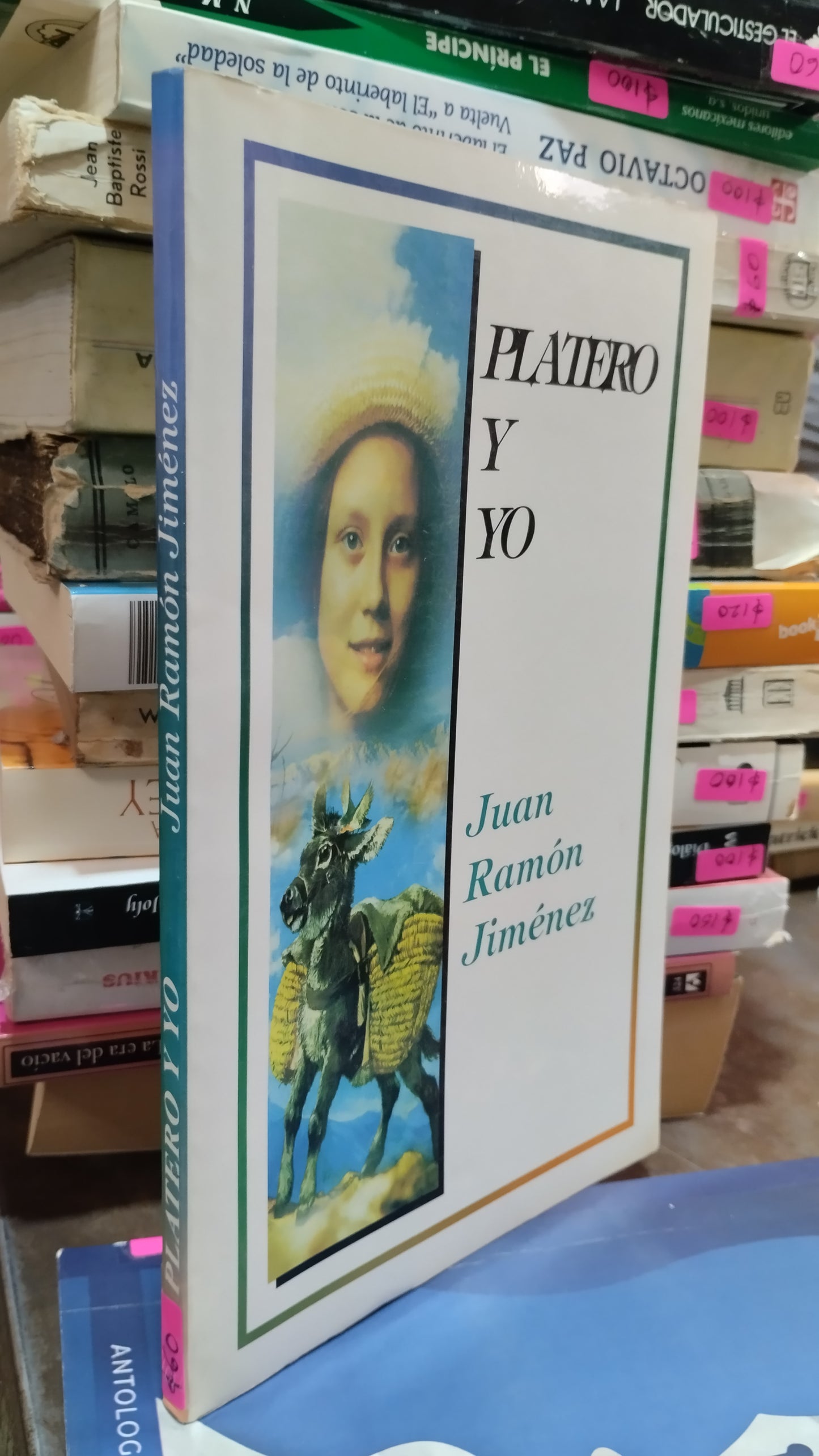 PLATERO Y YO POR JUAN RAMON JIMENEZ LIBRO USADO NOVELAS ALDAMA