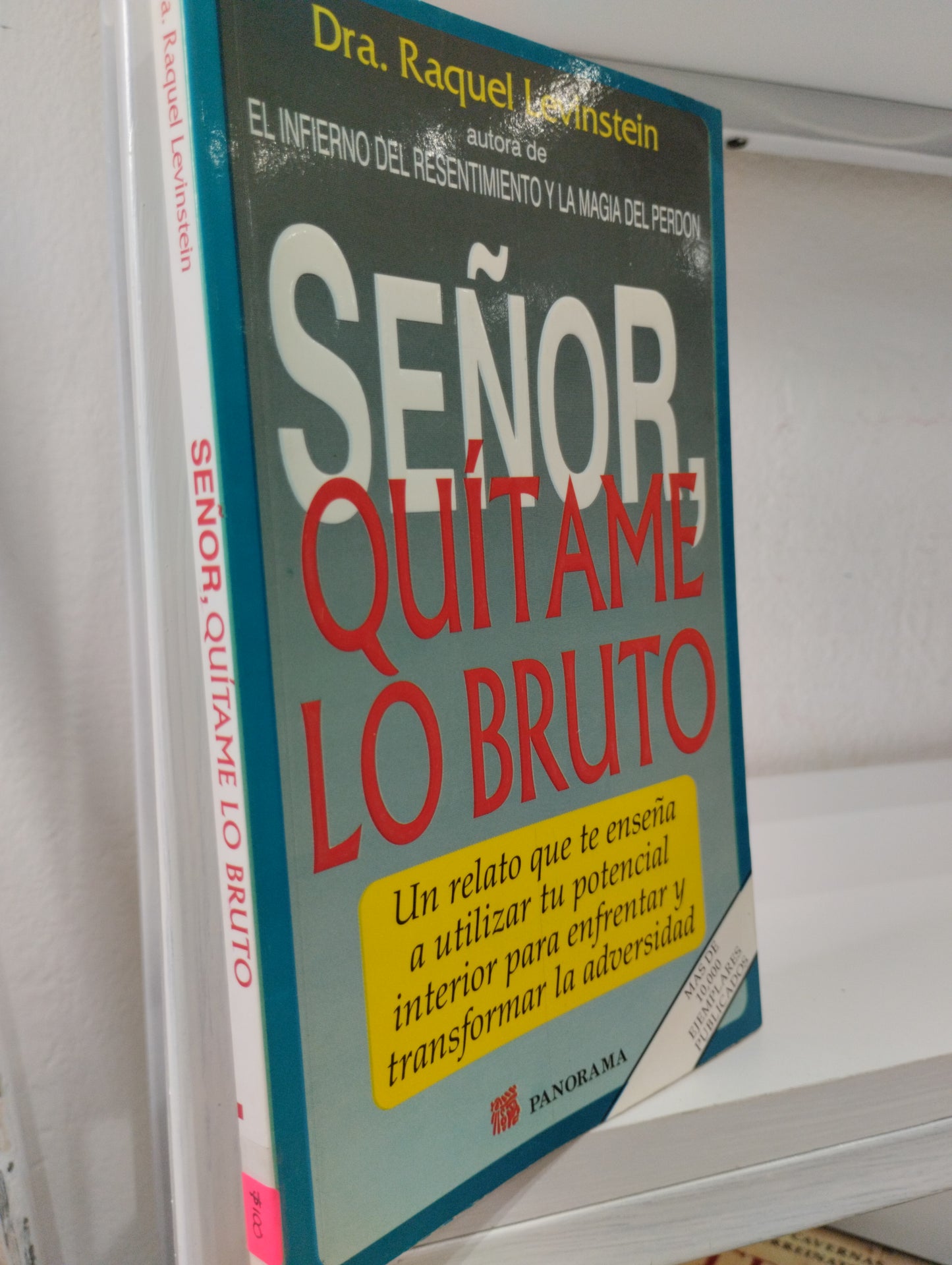 SEÑOR QUITAME LO BRUTO DRA RAQUEL LEVINSTEIN USADO SUPERACION PERSONAL JUAREZ 515