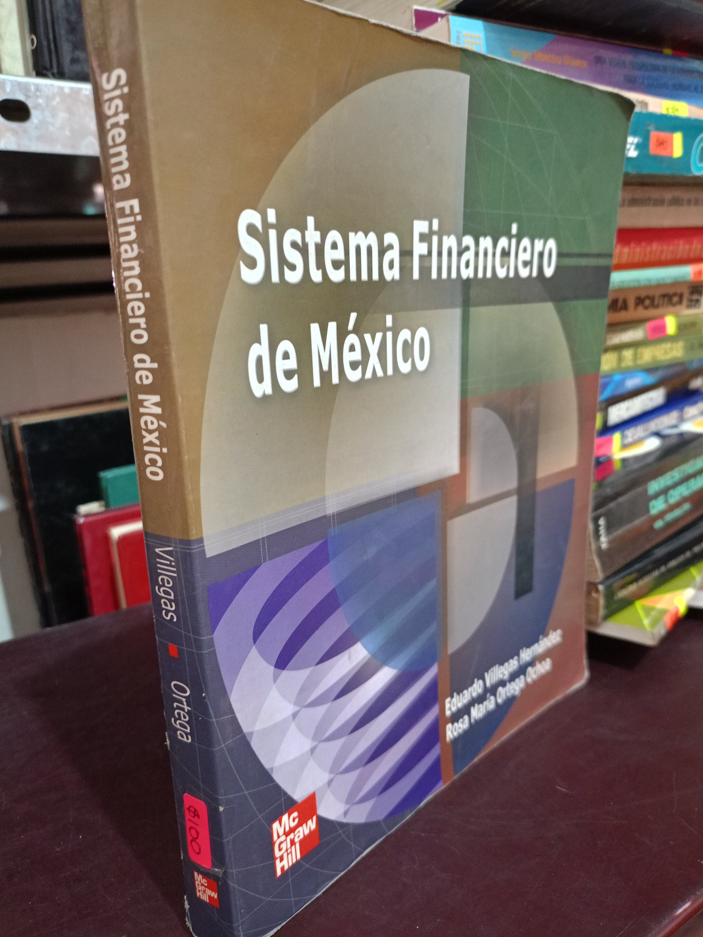 SISTEMA FINANCIERO DE MEXICO POR EDUARDO VILLEGAS HERNANDEZ ROSA MARIA ORTEGA OCHOA USADO ADMN LITERARIO 305