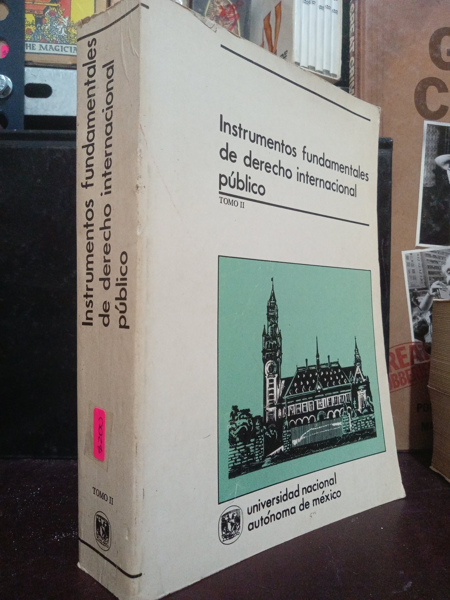 INSTRUMENTOS FUNDAMENTALES DE DERECHO INTERNACIONAL PUBLICO USADO DERECHO LITERARIO 305