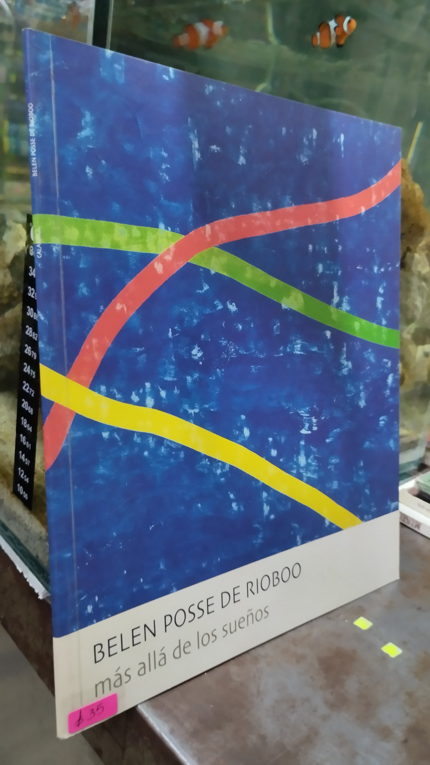 MAS ALLA DE LOS SUEÑOS POR BELEN POSSE DE RIOBOO LIBRO USADO ARTE ALDAMA