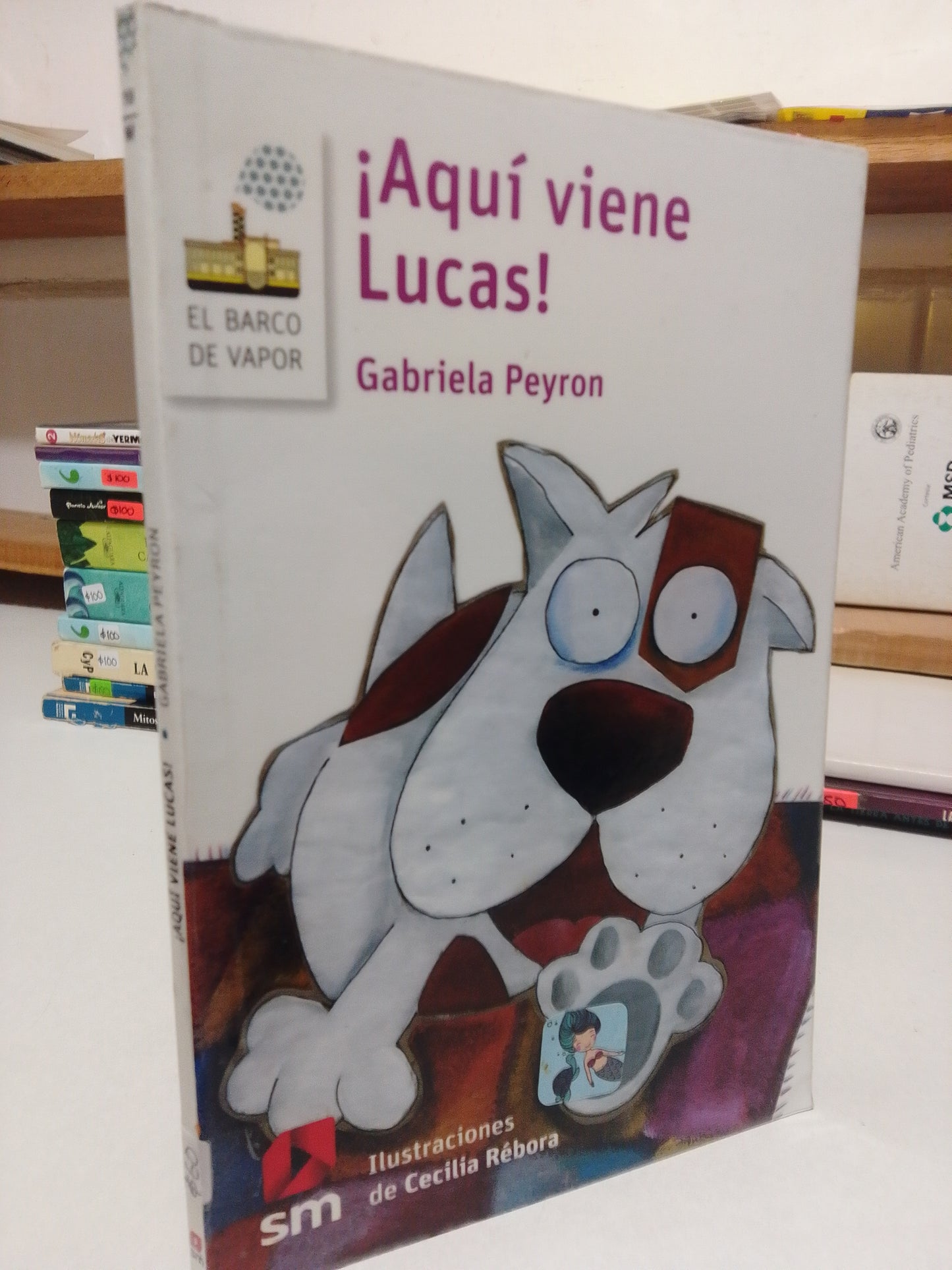 AQUI VIENE LUCAS POR GABRIELA PEYRON USADO INFANTIL JUAREZ
