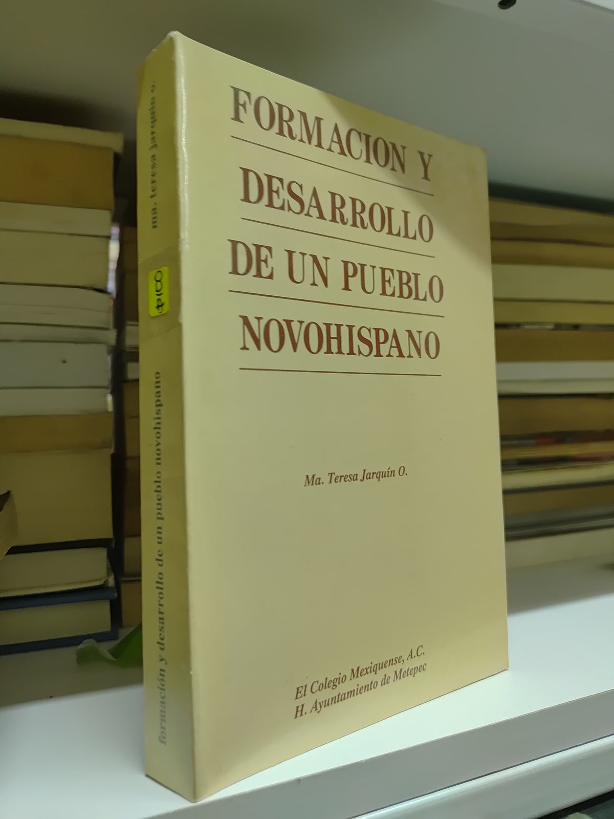 FORMACION Y DESARROLLO DE UN PUEBLO NOVOHISPANO POR TERESA JARQUIN O. USADO HISTORIA JUAREZ 515