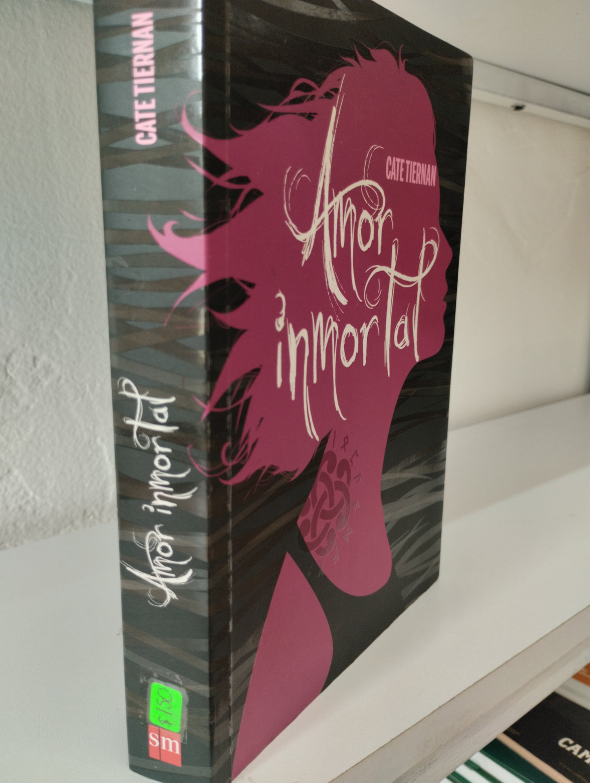 AMOR INMORTAL CATE TIERNAN USADO NOVELAS JUAREZ 515