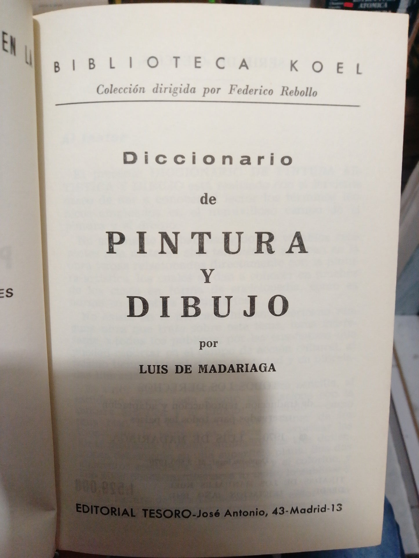 DICCIONARIO DE PINTURA Y DIBUJO POR LUIS DE MADARIAGA USADO ARTE JUÁREZ