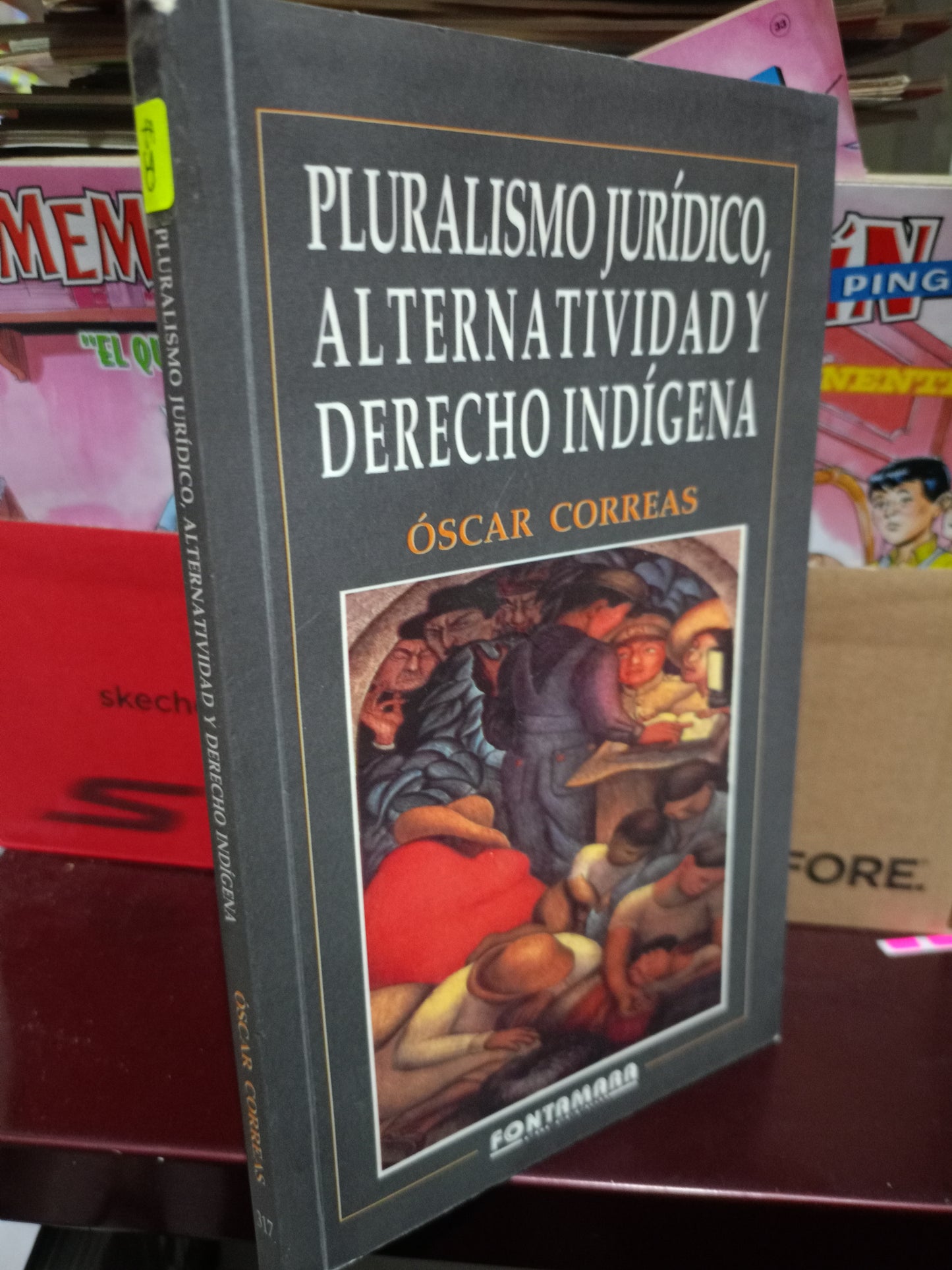 PLURALISMO JURIDICO ALTERNATIVIDAD Y DERECHO INDIGENA O OSCAR CORREAS USADO DERECHO LITERARIO 305
