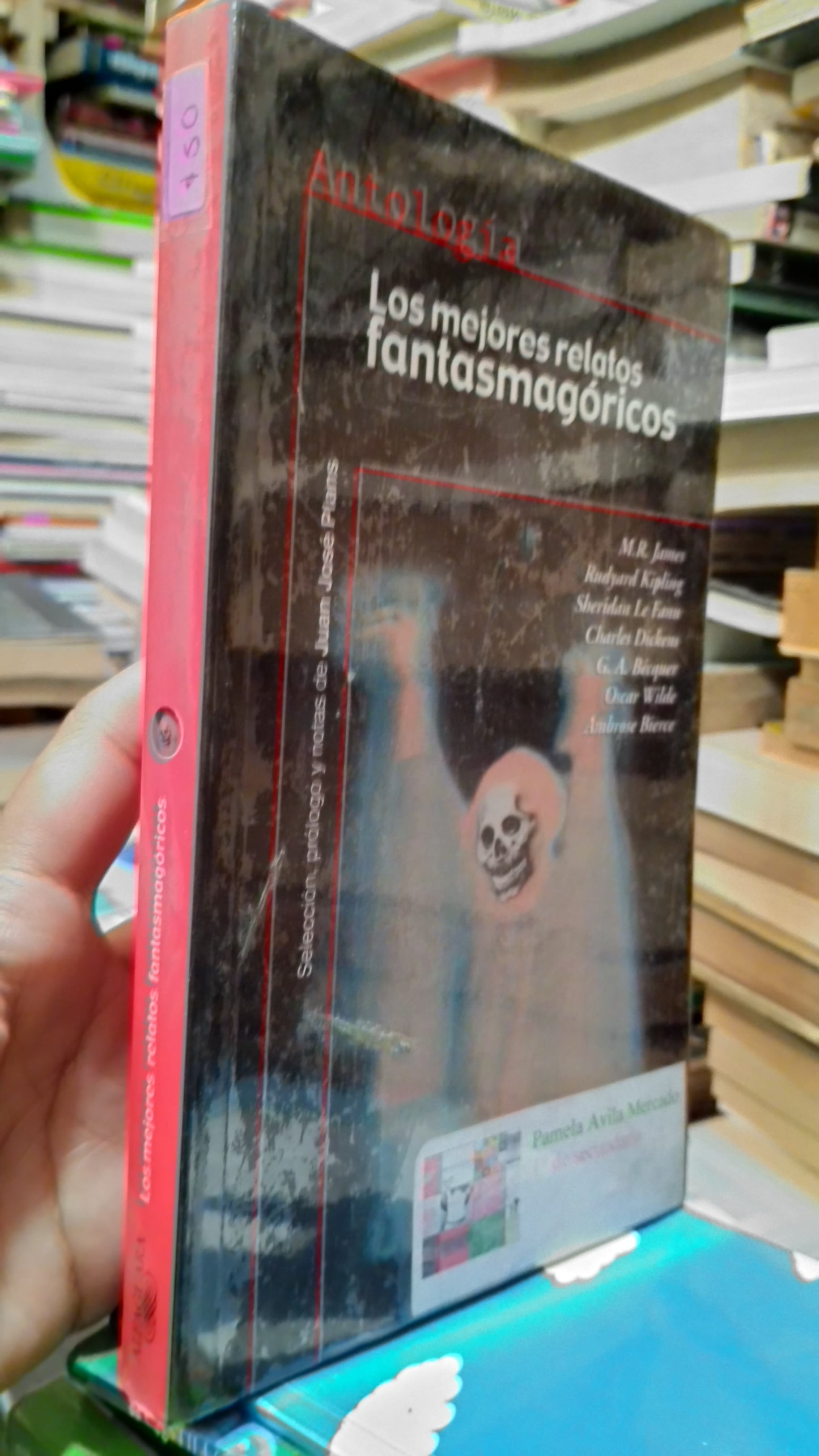 LOS MEJORES RELATOS FANTASMAGORICOS POR M R JAMES LIBRO USADO INFANTIL ALDAMA