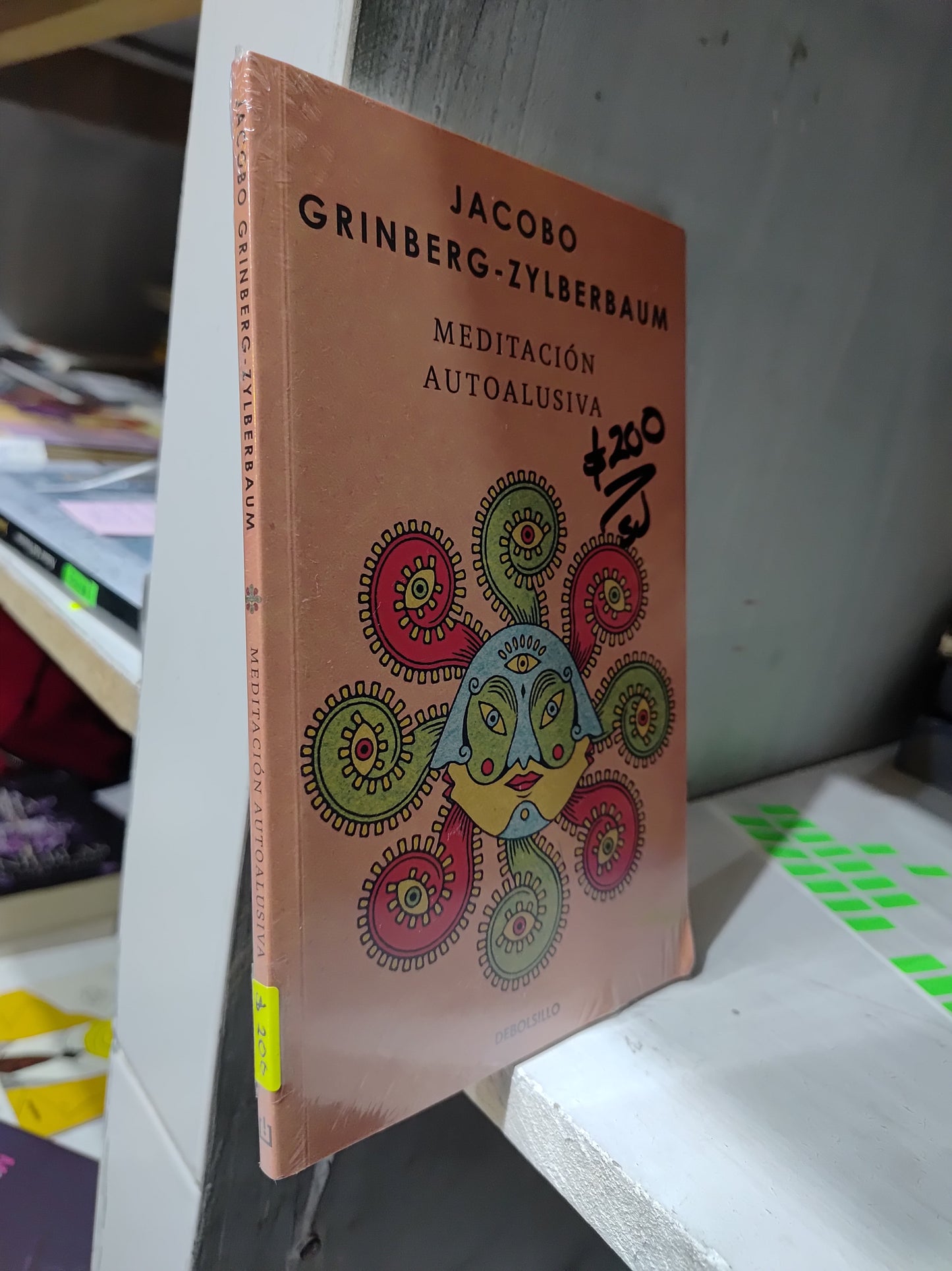 MEDITACION AUTOALUSIVA POR JACOBO GRINBERG NUEVO JUAREZ
