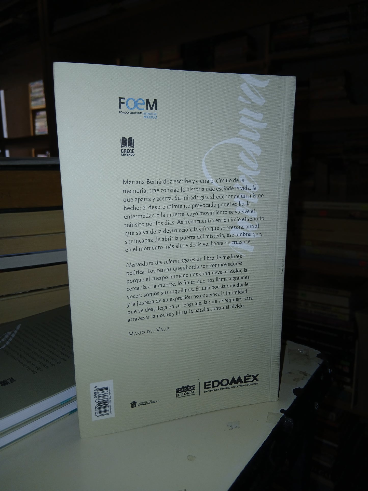 NERVADURA DEL RELÁMPAGO POR MARIANA BERNARDEZ USADO POESÍA LITERARIO 207