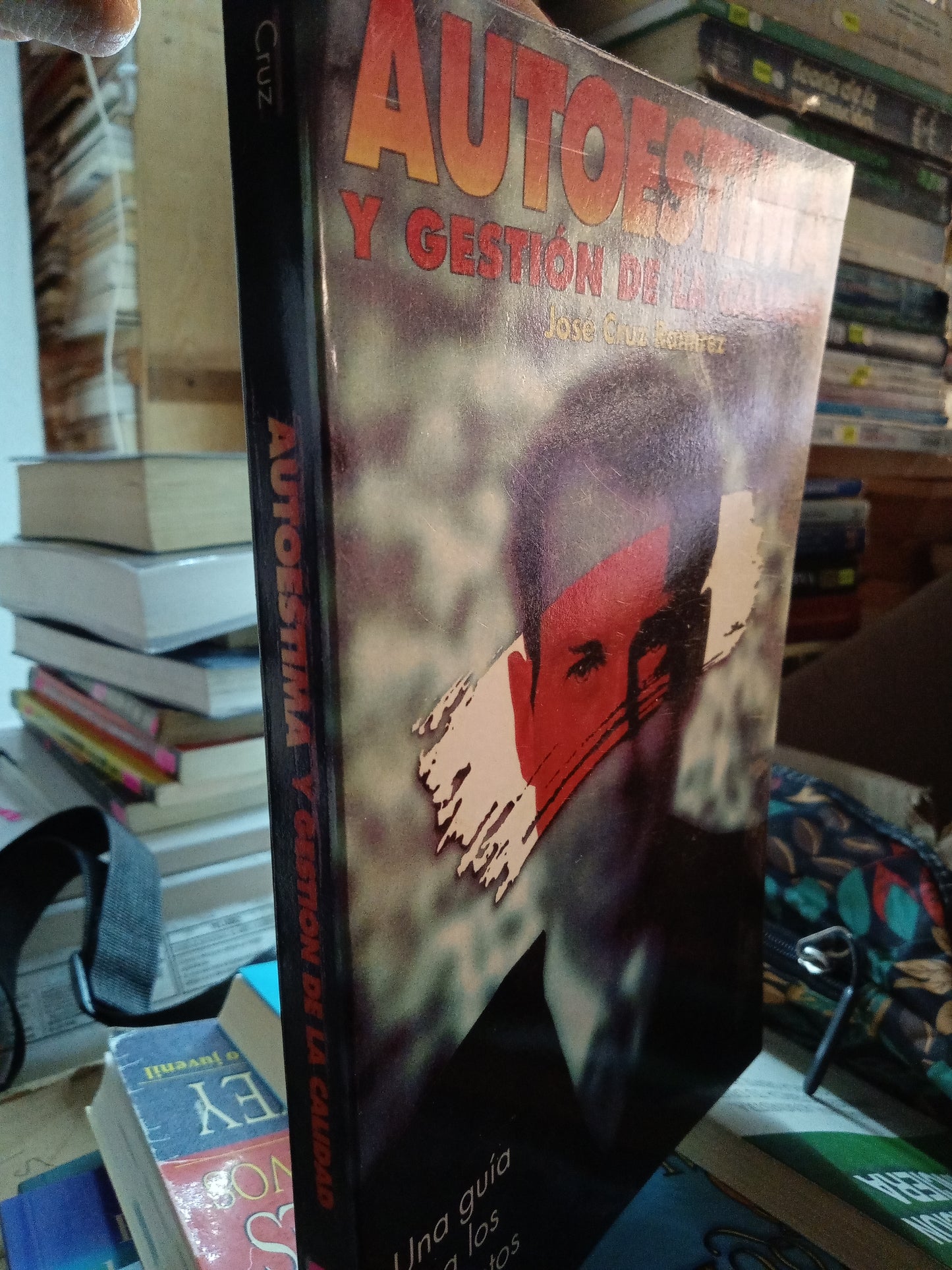 AUTOESTIMA Y GESTIÓN DE LA CALIDAD POR JOSE CRUZ RAMÍREZ USADO SUPERACION PERSONAL LITERARIO 207