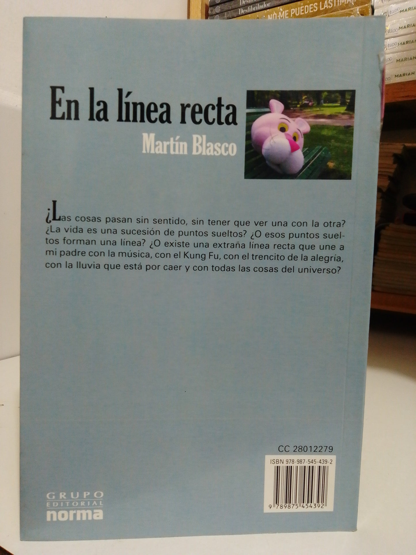 EN LA LÍNEA RECTA POR MARTÍN BLASCO USADO NOVELA JUÁREZ
