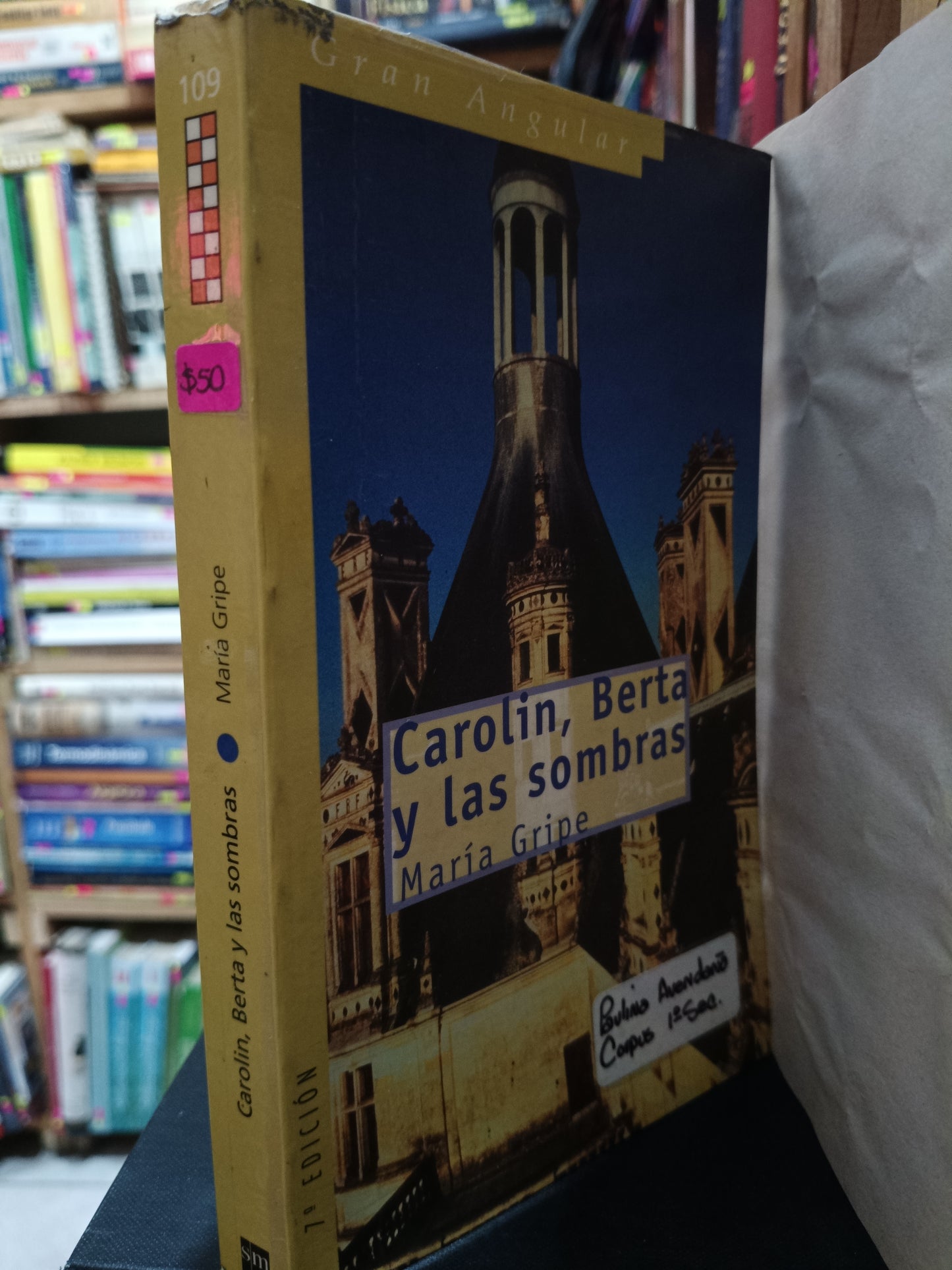 CAROLIN BERTA Y LAS SOMBRAS MARIA GRIPE USADO NOVELA LITERARIO 305
