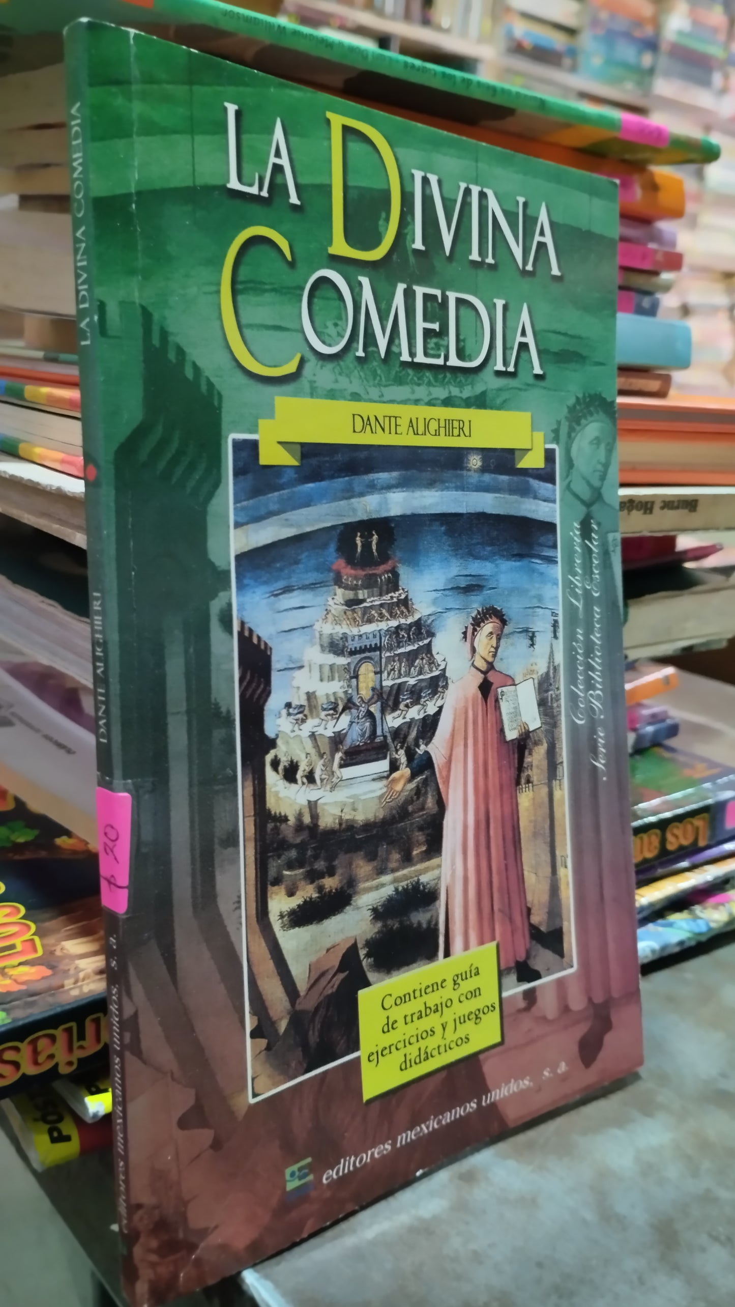 LA DIVINA COMEDIA POR DANTE ALIGHIERI LIBRO USADO INFANTIL ALDAMA