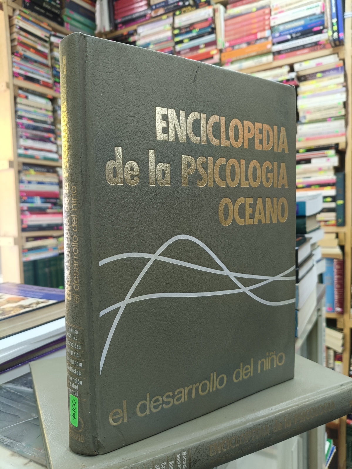 ENCICLOPEDIA DE LA PSICOLOGIA OCEANO USADO PSICOLOGÍA JUAREZ 507