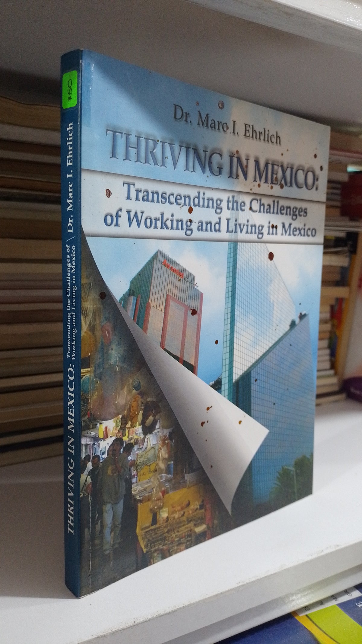 THRIVING IN MEXICO TRANSCENDING THE CHALLENGES OF WORKING AND LIVING IN MEXICO POR MARC I EHRILICH USADO IDIOMAS JUAREZ 507