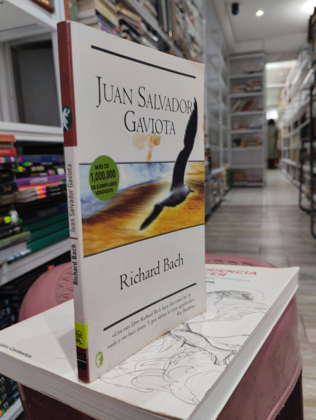 JUAN SALVADOR GAVIOTA POR RICHARD BACH USADO SUPERACION PERSONAL JUAREZ 515