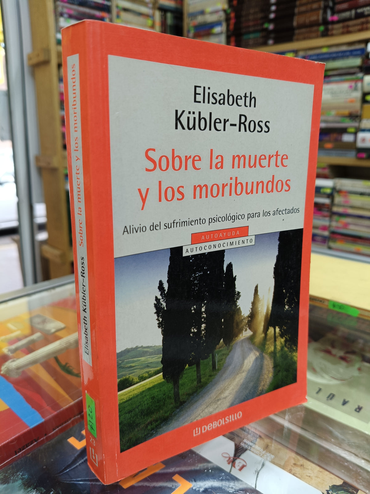SOBRE LA MUERTE Y LOS MORIBUNDOS POR ELISABETH KUBLER ROSS USADO S.PERSONAL JUAREZ 507
