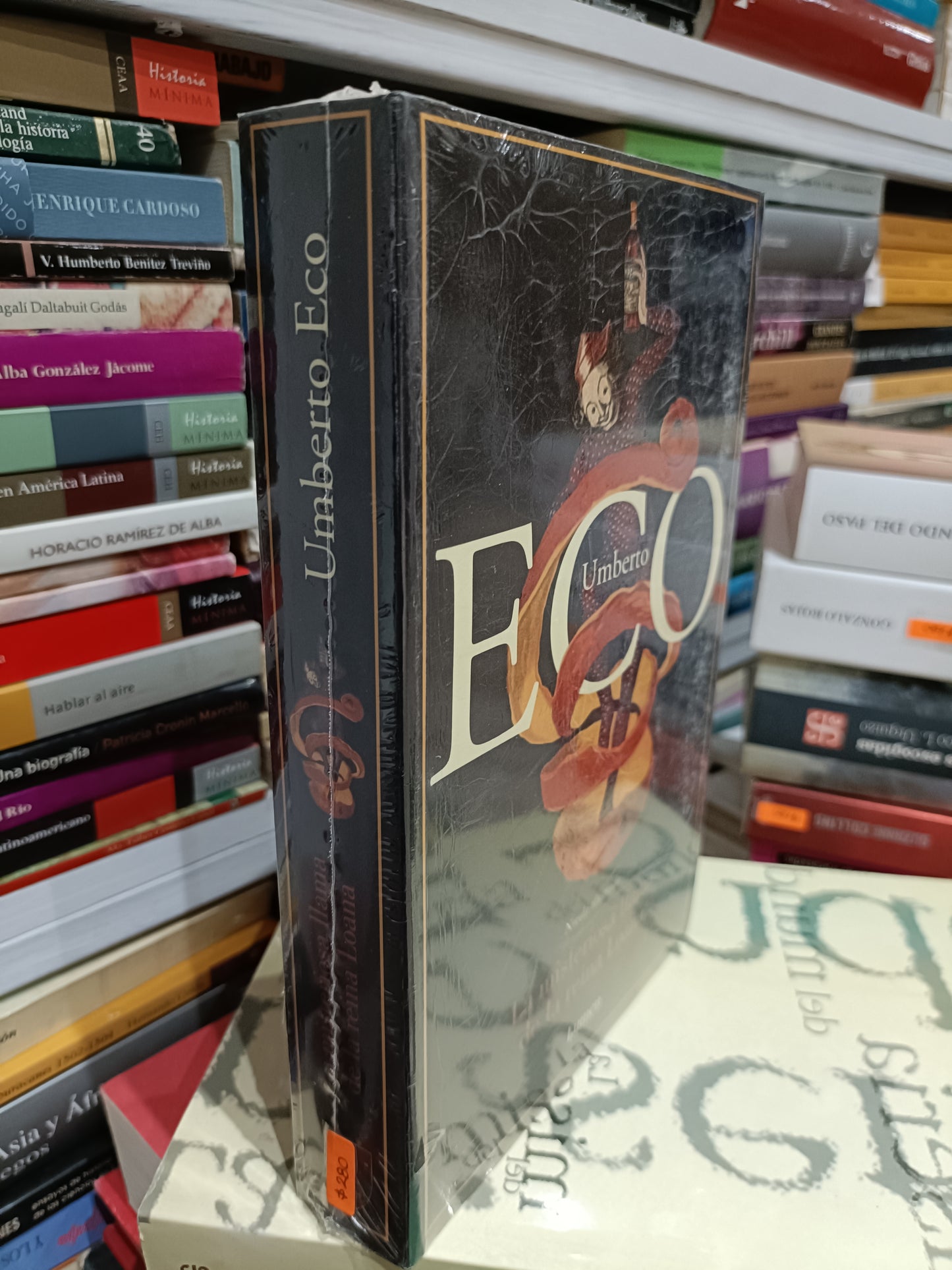 LA MISTERIOSA LLAMA DE LA REINA LOANA POR UMBERTO ECO USADOS NOVELAS JUAREZ 515