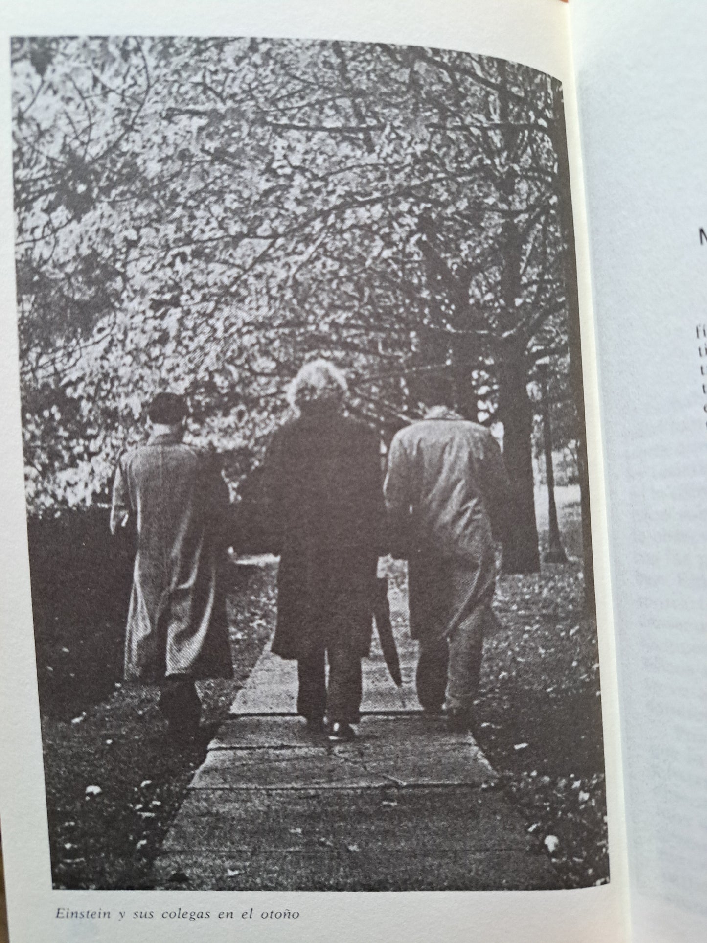 RELATIVIDAD, AGUJEROS NEGROS Y EL DESTINO DEL UNIVERSO USADO NOVELA LITERARIO 305