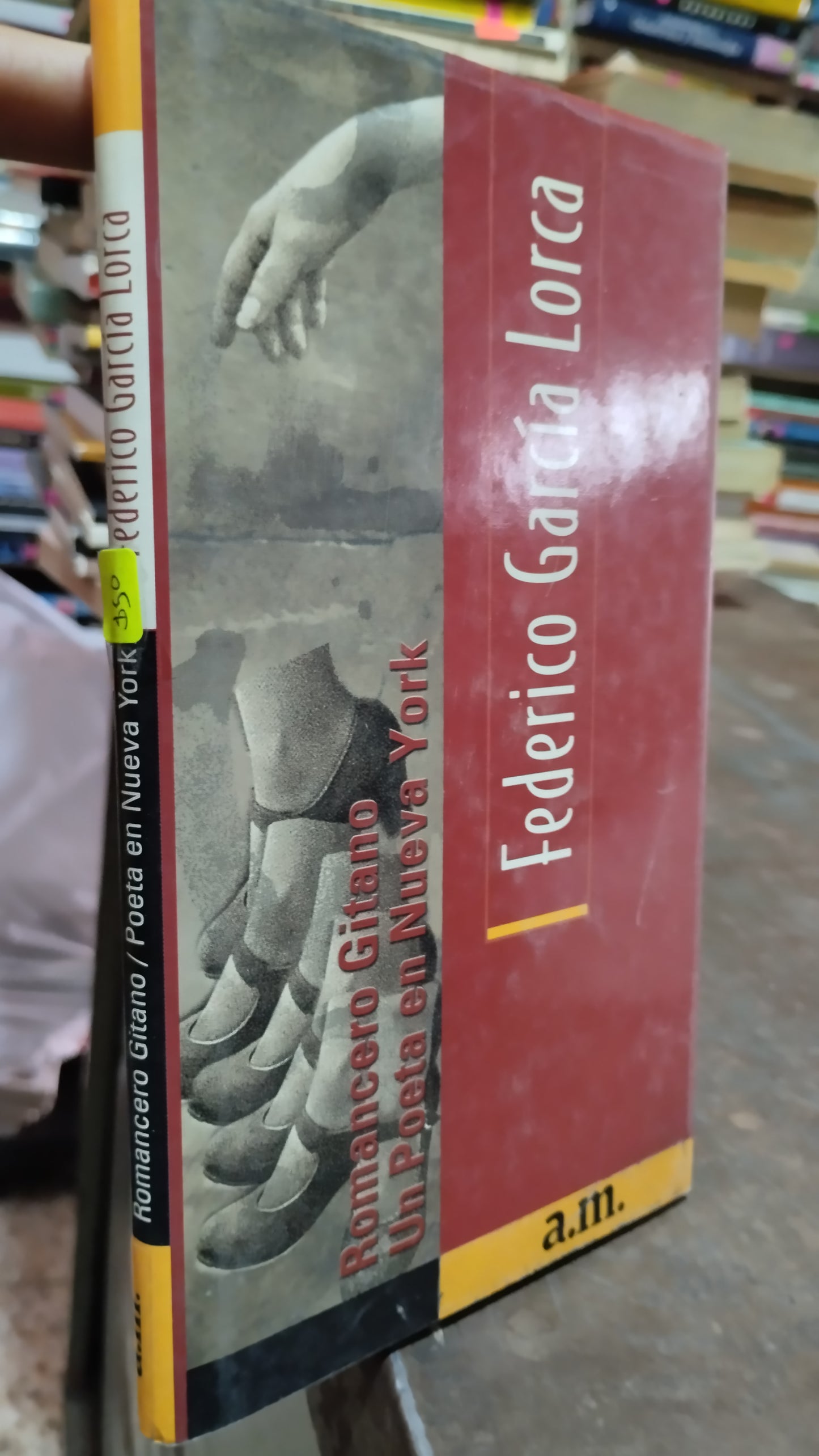 ROMANCERO GITANO UN POETA EN NUEVA YORK LIBRO USADO NOVELAS ALDAMA