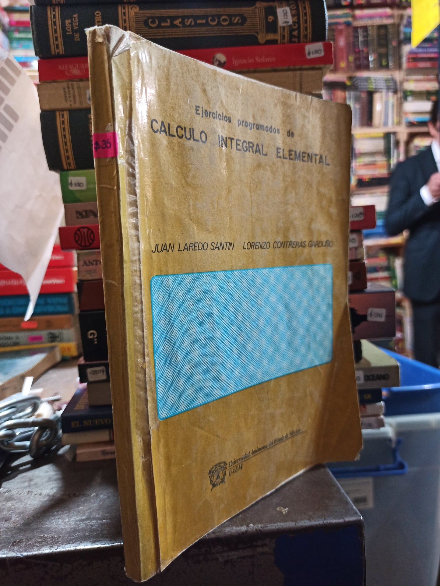 EJERCICIOS PROGRAMADOS DE CALCULO INTEGRAL ELEMENTAL POR JUAN LAREDO SANTIN USADO MATEMÁTICAS ALDAMA