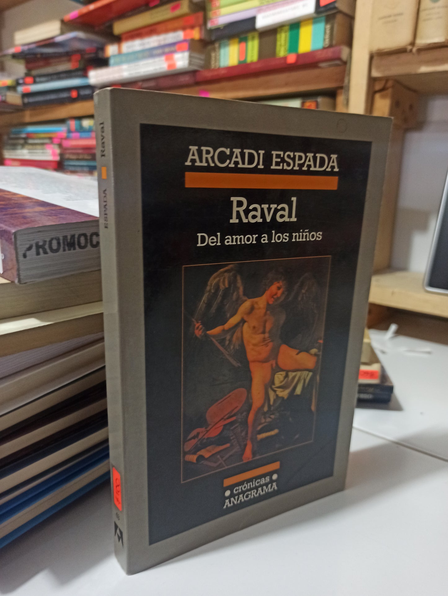 RAVAL DEL AMOR A LOS NIÑOS POR ARCADI ESPADA USADO NOVELAS JUÁREZ