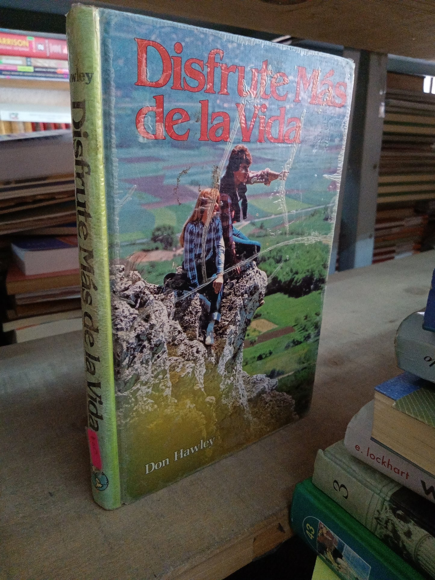 DISFRUTE MSD DE LA VIDA POR DON HAWLEY USADO SUPERACION PERSONAL LITERARIO 207