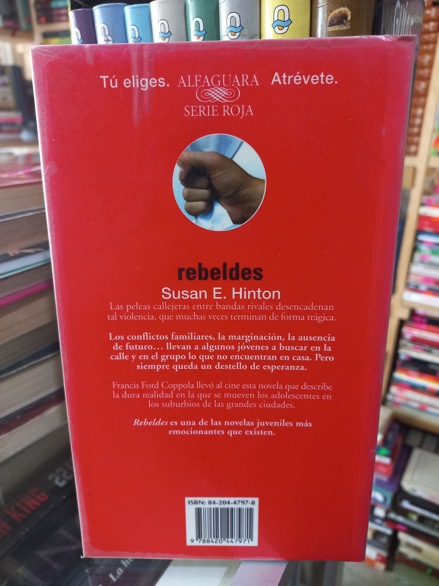 REBELDES POR SUSAN E. HINTON USADO NOVELA JUÁREZ