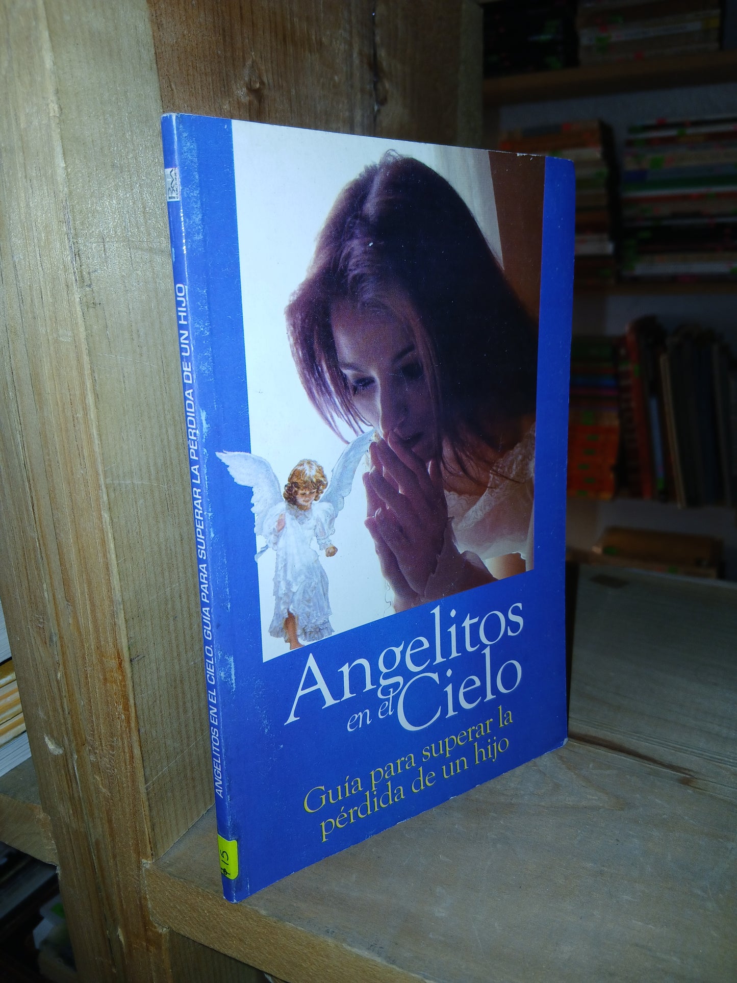 ANGELITOS EN EL CIELO. GUÍA PARA SUPERAR LA PERDIDA DE UN HIJO POR LUIS HAZEL N. USADO SUPERACIÓN PERSONAL LITERARIO 207