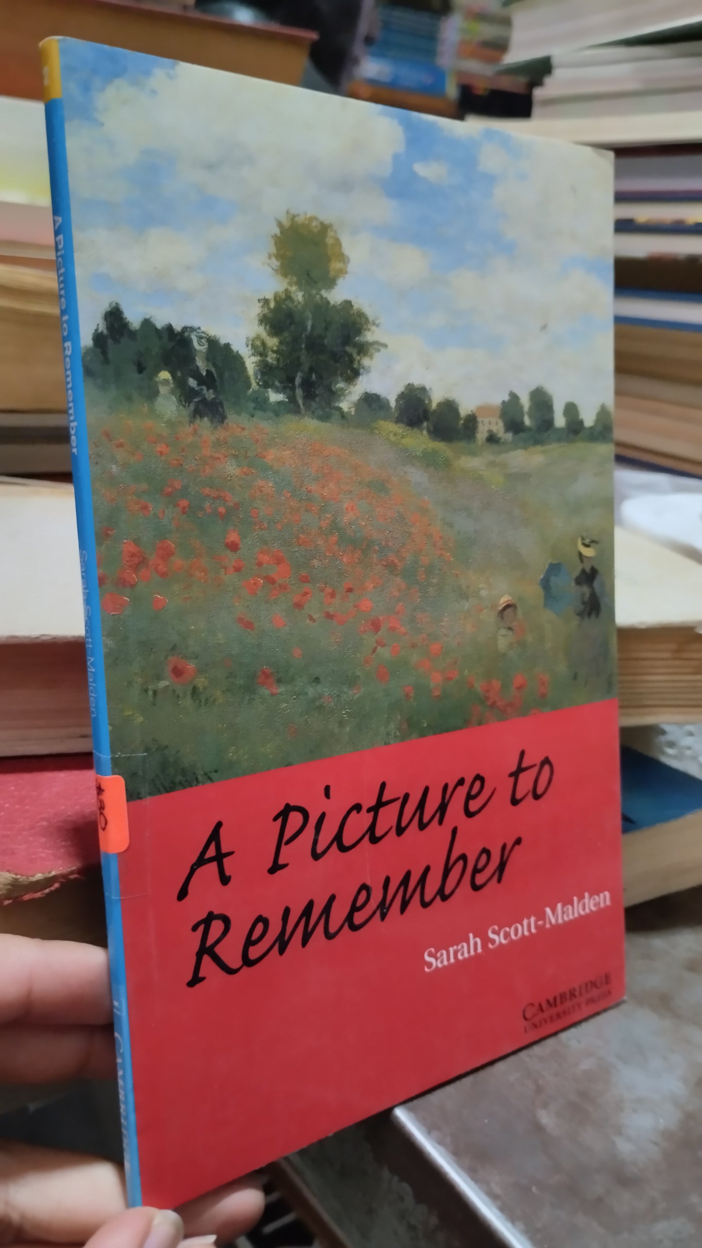 A PICTURE TO REMEMBER POR SARAH SCOTT MALDEN LIBRO USADO IDIOMAS ALDAMA