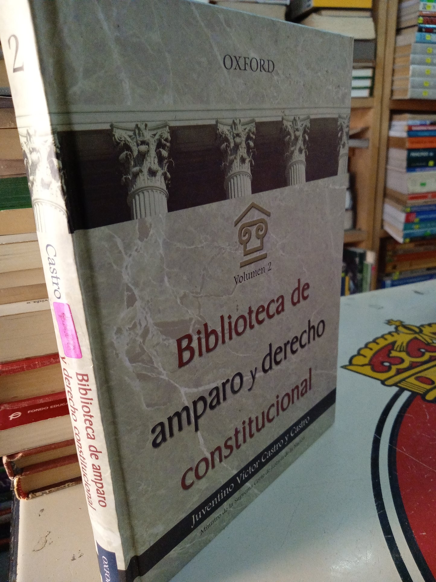BIBLIOTECA DE AMPARO Y DERECHO CONSTITUCIONAL POR JUVENTINO VICTOR CASTRO Y CASTRO USADO DERECHO LITERARIO 207