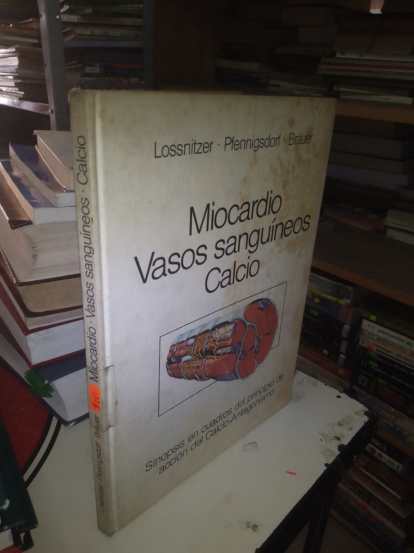 MIOCARDIO, VASOS, SANGUÍNEOS, CALCIO: SINOPSIS EN CUADROS DEL PRINCIPIO DE ACCIÓN DEL CALCIO-ANTAGONISMO POR LOSSNITZER, PFENNIGSDORF Y BRAUER USADO MEDICINA LITERARIO 207