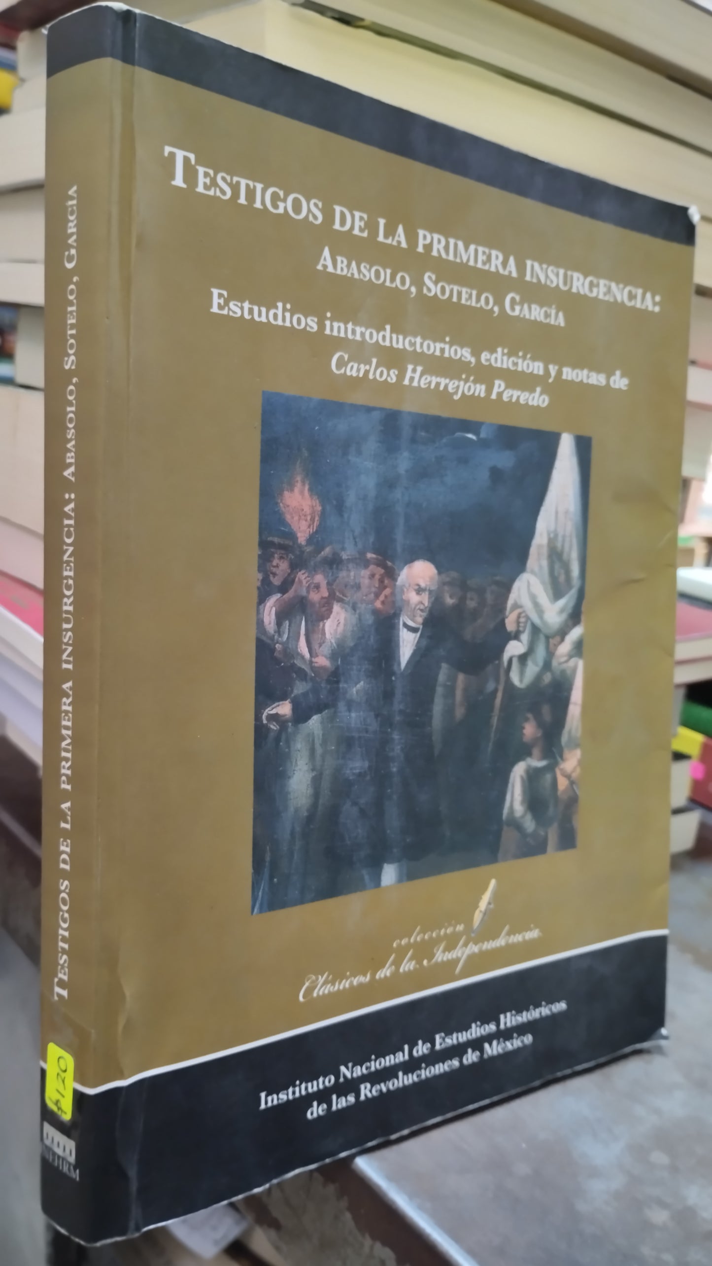 TESTIGOS DE LA PRIMERA INSURGENCIA ABASOLO SOTELO GARCIA LIBRO USADO HISTORIA ALDAMA