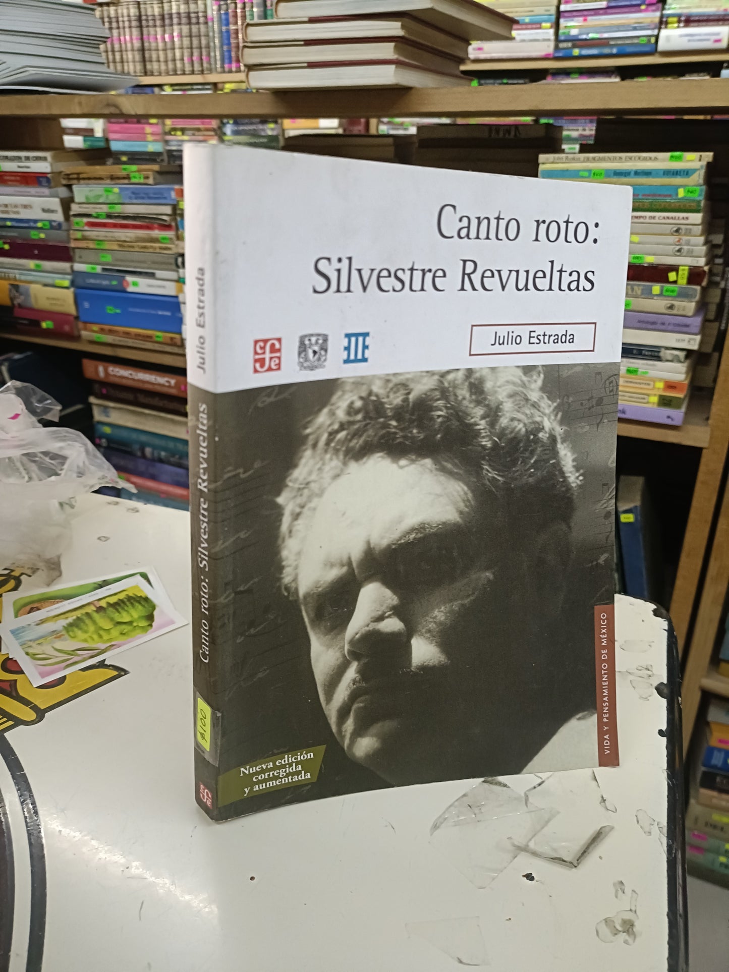 CANTO ROTO: SILVESTRE REVUELTAS POR JULIO ESTRADA USADO NOVELA LITERARIO 207
