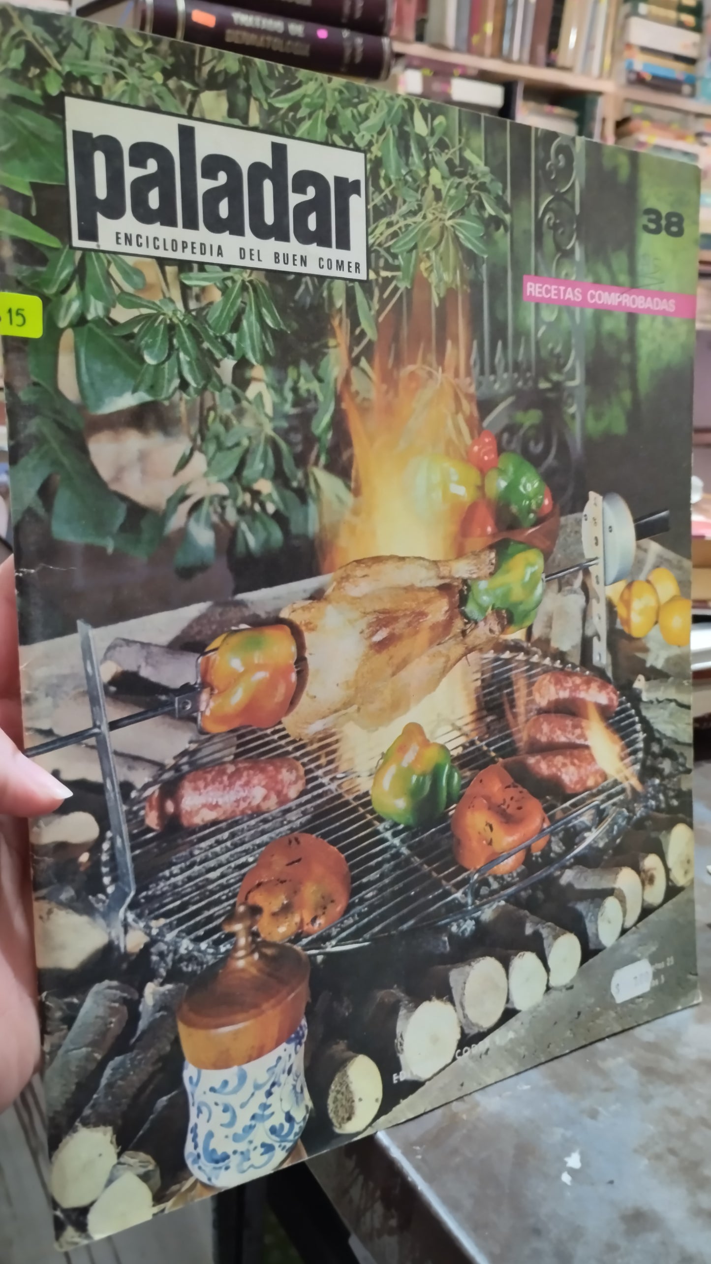 PALADAR RECETAS COMPROBADAS 38 LIBRO USADO COCINA ALDAMA