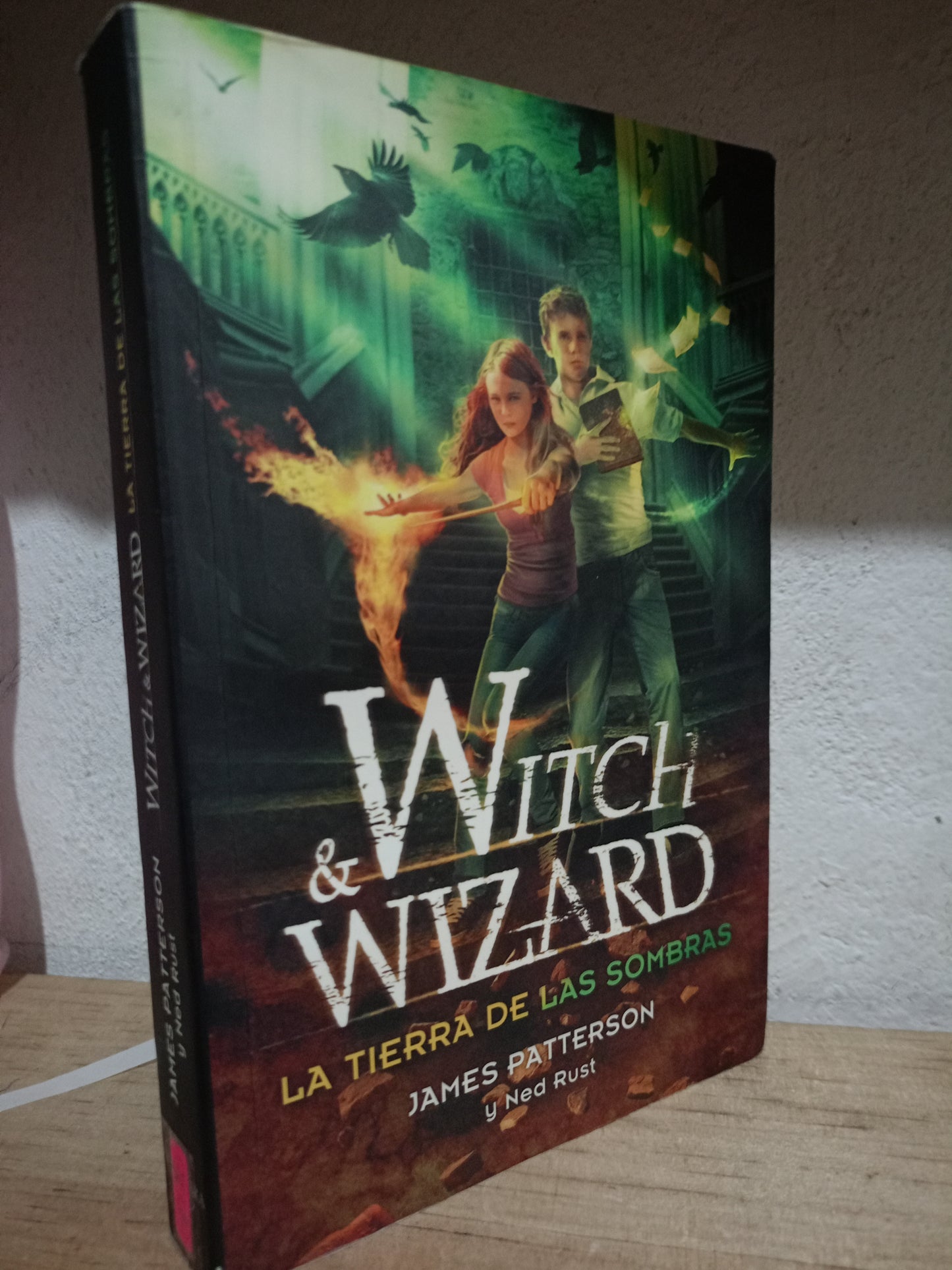WIRCH Y WIZARD LA TIERRA DE LAS SOMBRAS POR JAMES PETTERSSON USADO NOVELA LITERARIO 305