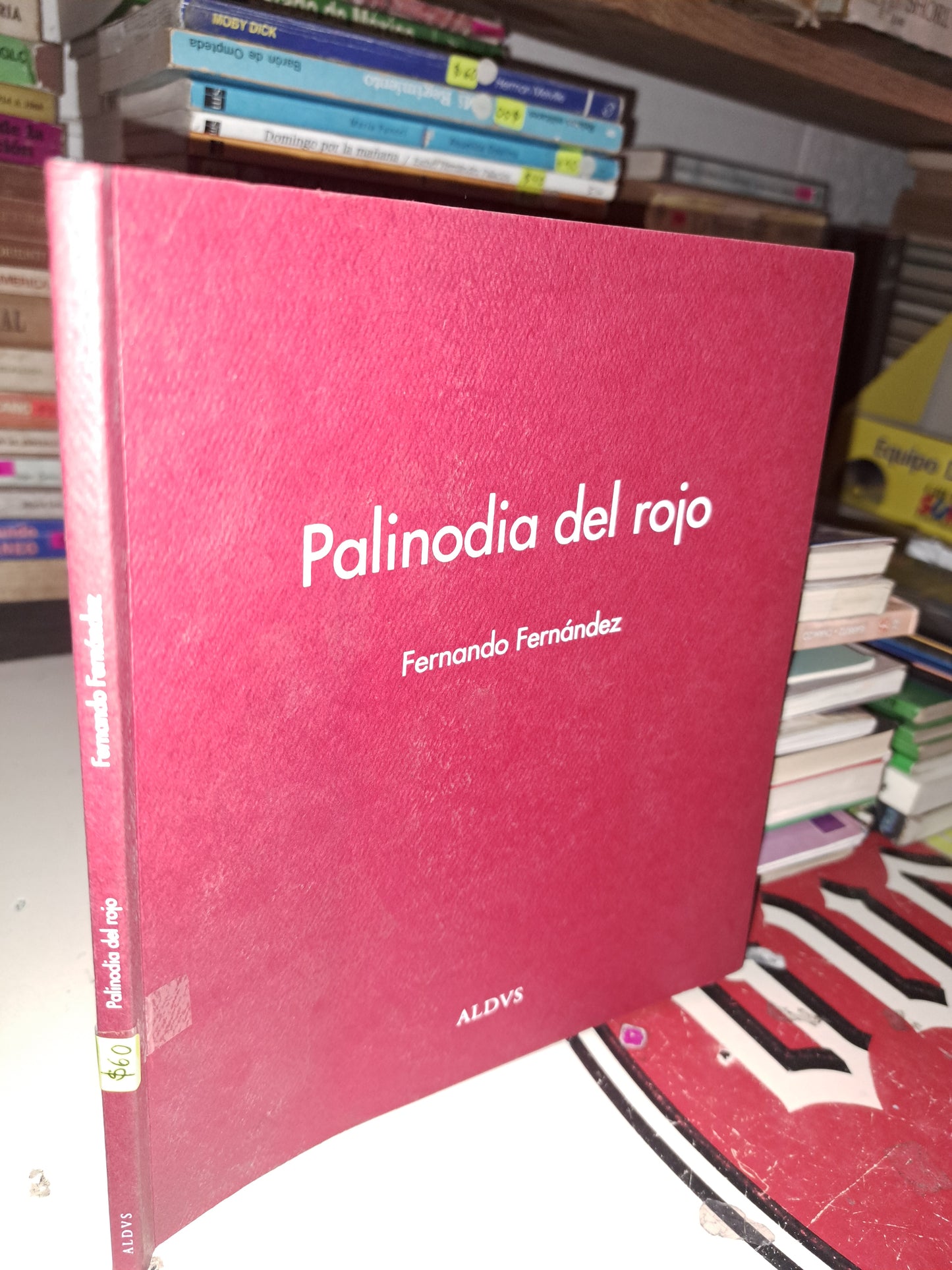 PALINODIA DEL ROJO FERNANDO FERNÁNDEZ USADO NOVELA LITERARIO 207