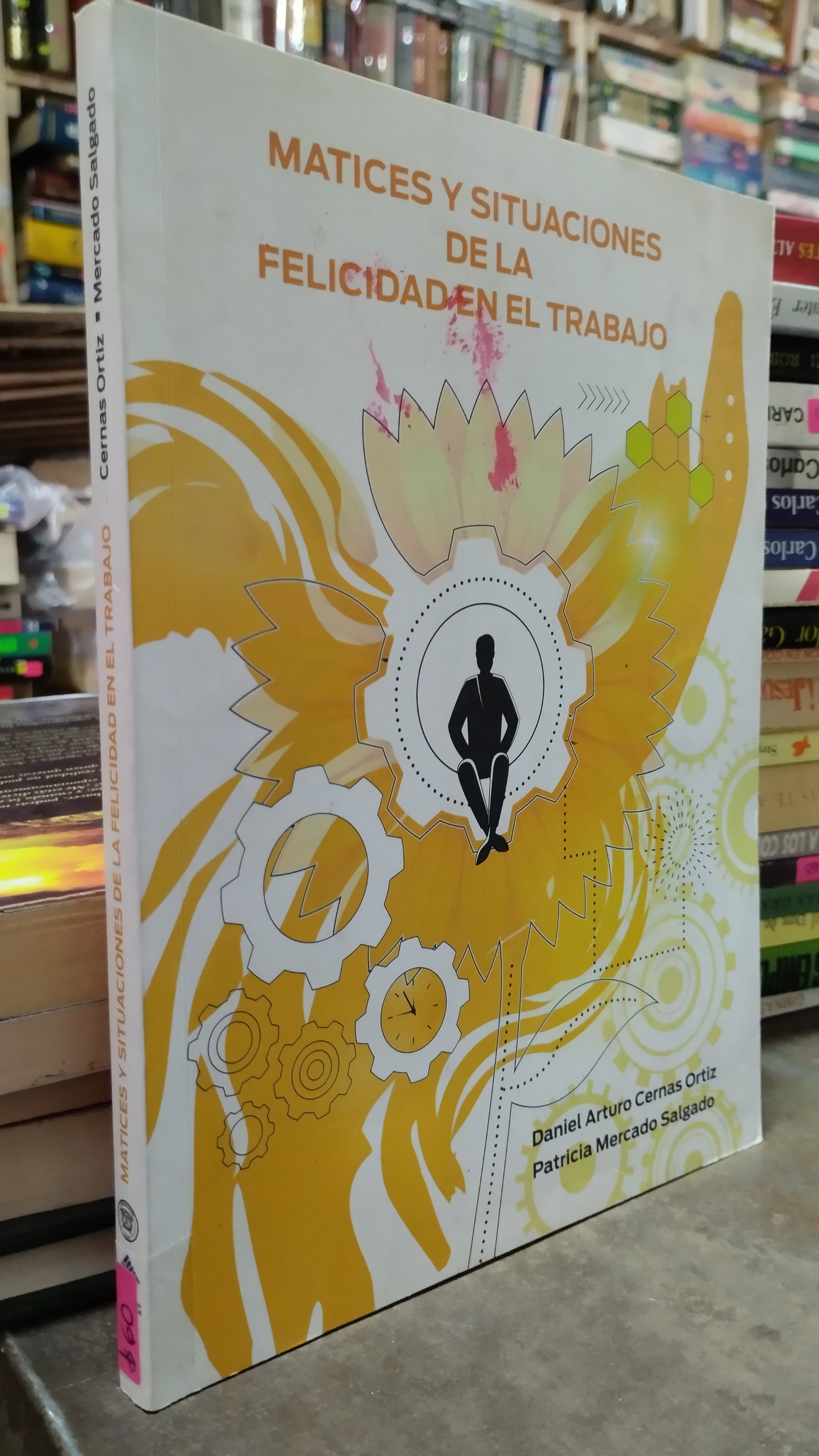 MATICES Y SITUACIONES DE LA FELICIDAD EN EL TRABAJO POR CERNAD ORTIZ LIBRO USADO SUPERACION PERSONAL ALDAMA