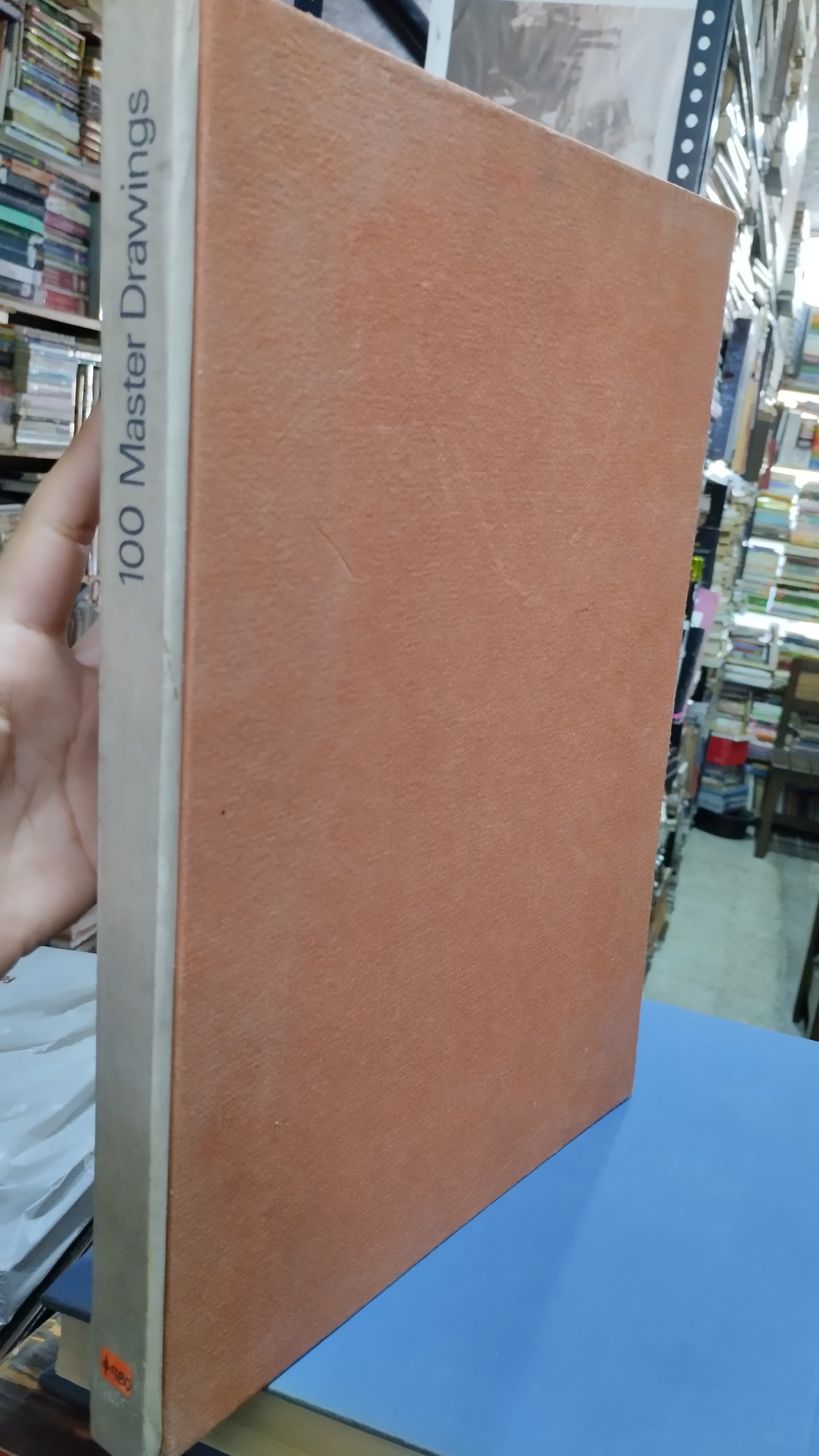 100 MASTER DRAWINGS LIBRO USADO ANTIGUO ALDAMA