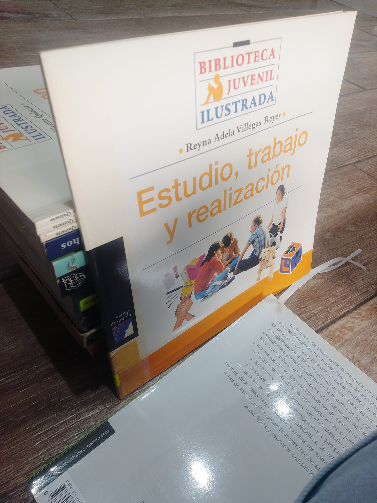 ESTUDIO, TRABAJO Y REALIZACION POR REYNA ADELA VILLEGAS REYES USADO EDUCACION JUAREZ 515