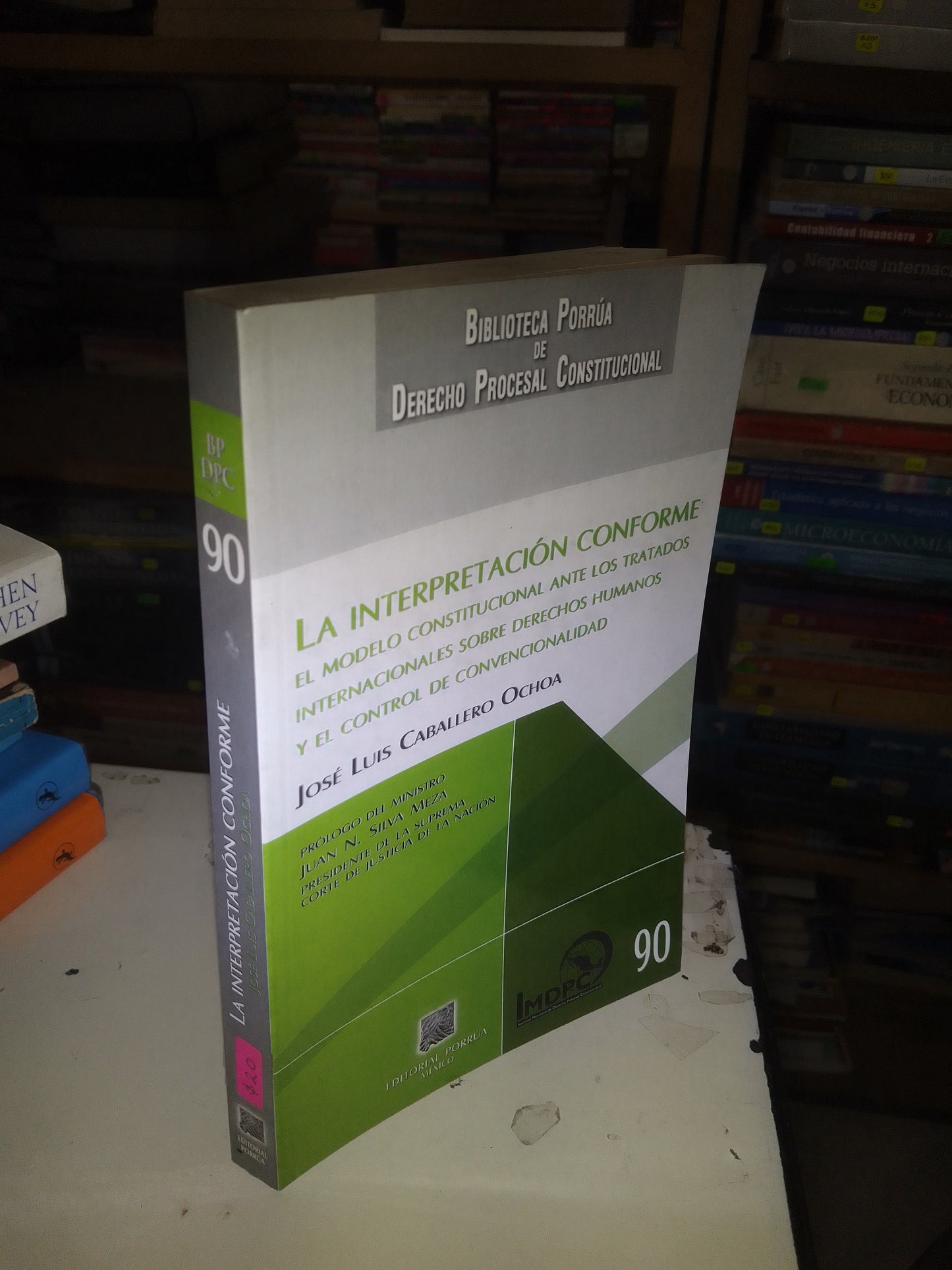 LA INTERPRETACIÓN CONFORME POR JOSÉ LUIS CABALLERO OCHOA USADO DERECHO LITERARIO 207
