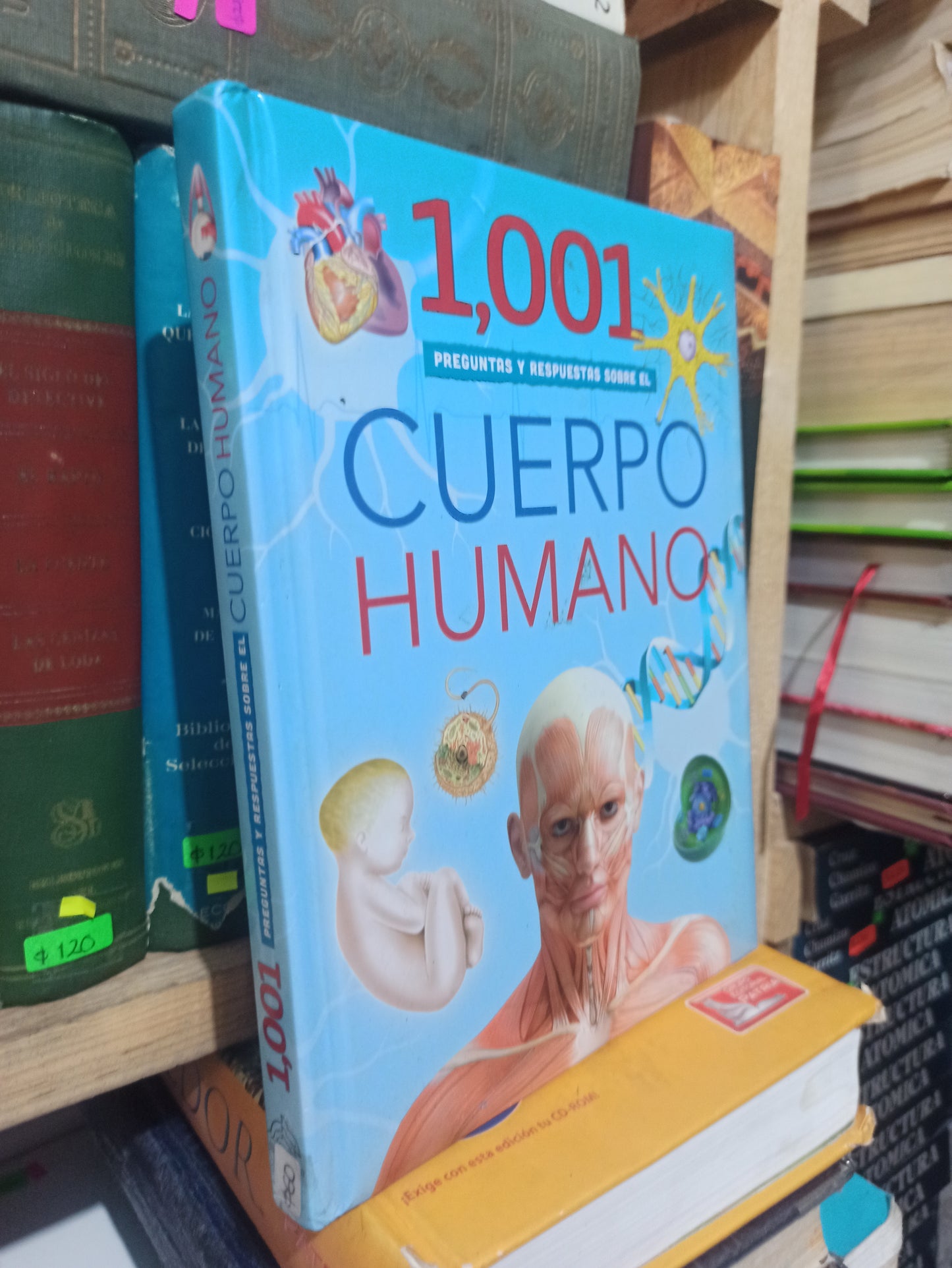 1001 PREGUNTAS Y RESPUESTAS SOBRE EL CUERPO HUMANO POR EDITORIAL SILVER DOLPHIN USADO SALUD JUÁREZ