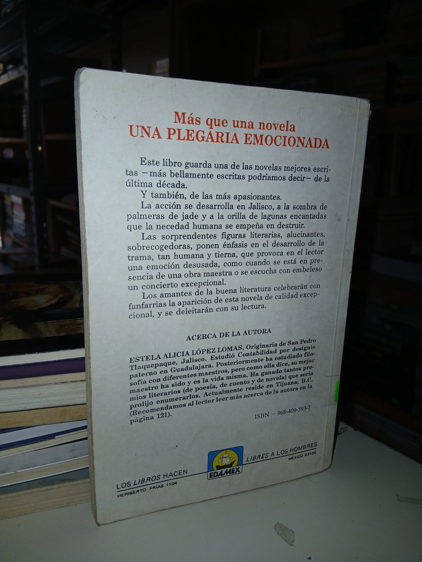EL HOMBRE DE LA LLUVIA POR ESTELA ALICIA LÓPEZ LOMAS USADO NOVELA LITERARIO 207