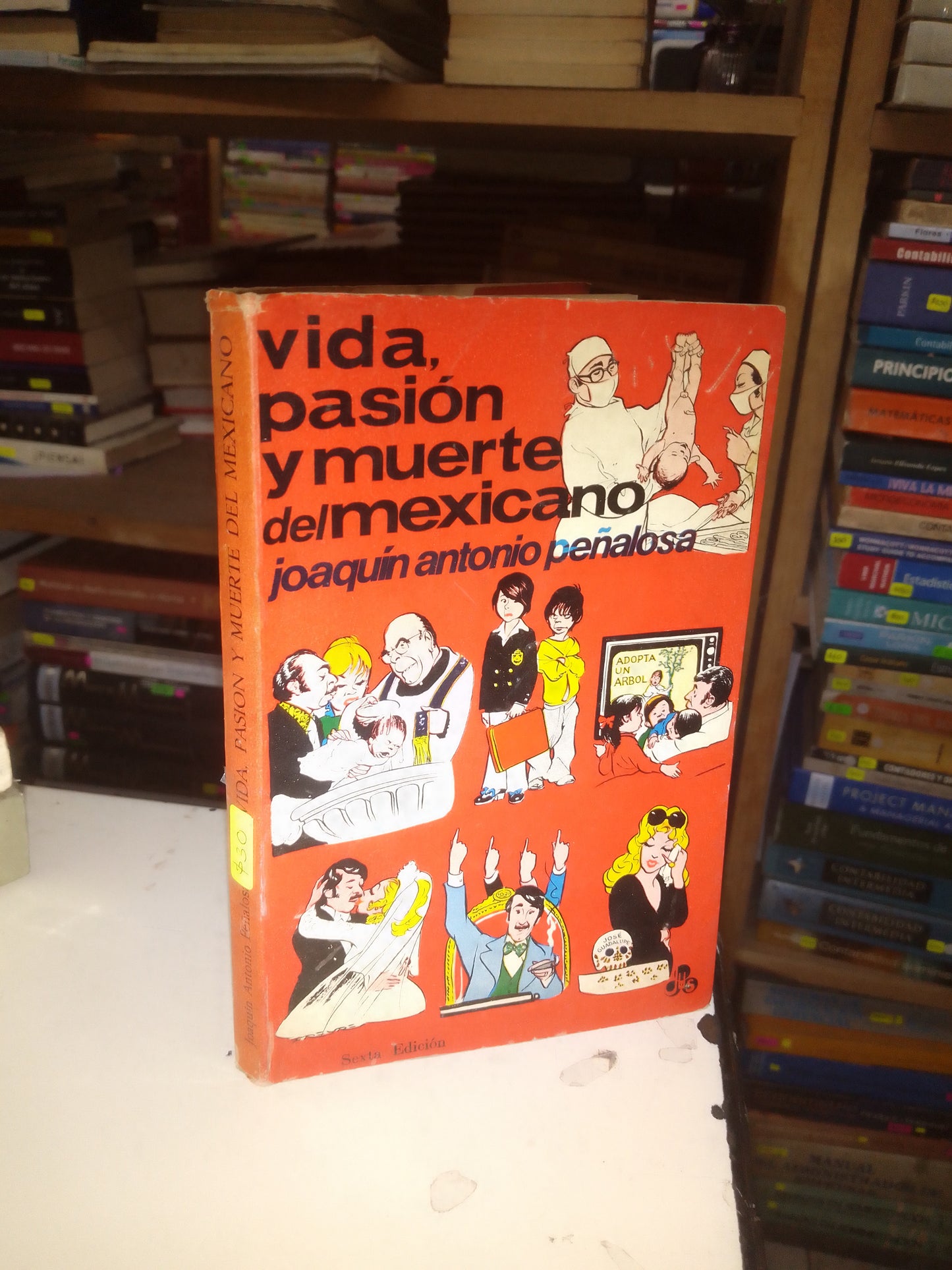 VIDA, PASIÓN Y MUERTE DEL MEXICANO POR JOAQUÍN ANTONIO PEÑALOSA USADO NOVELA LITERARIO 207