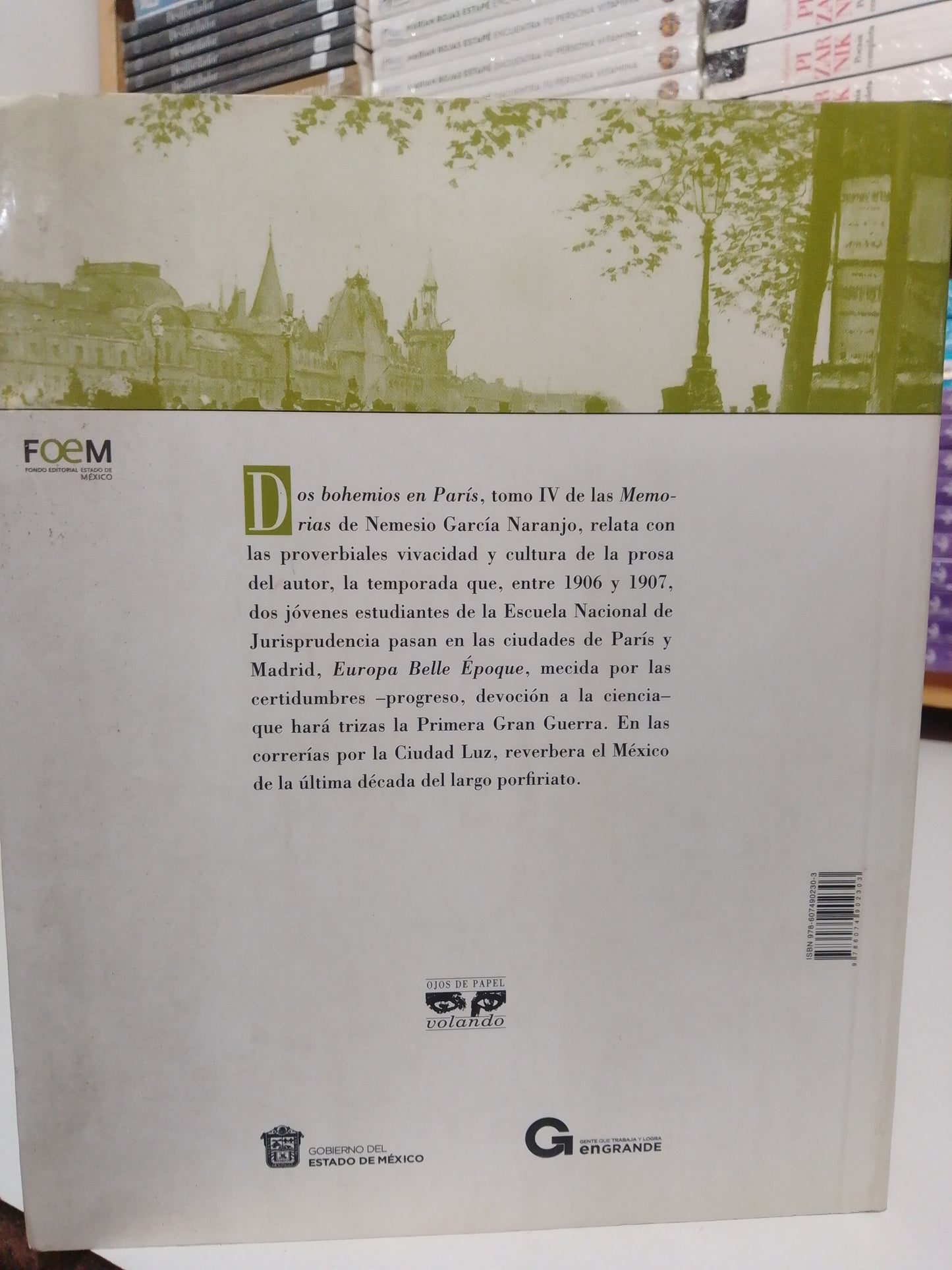 DOS BOHEMIOS EN PARIS POR NEMESIO GARCIA NARANJO USADO NOVELA JUAREZ