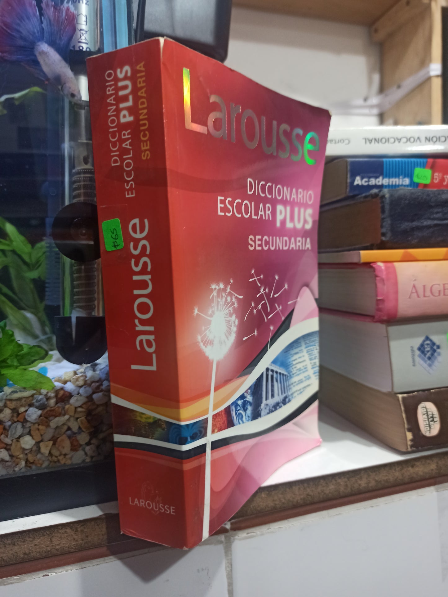 DICCIONARIO ESCOALR PLUS LAROUSSE USADO IDIOMAS JUÁREZ