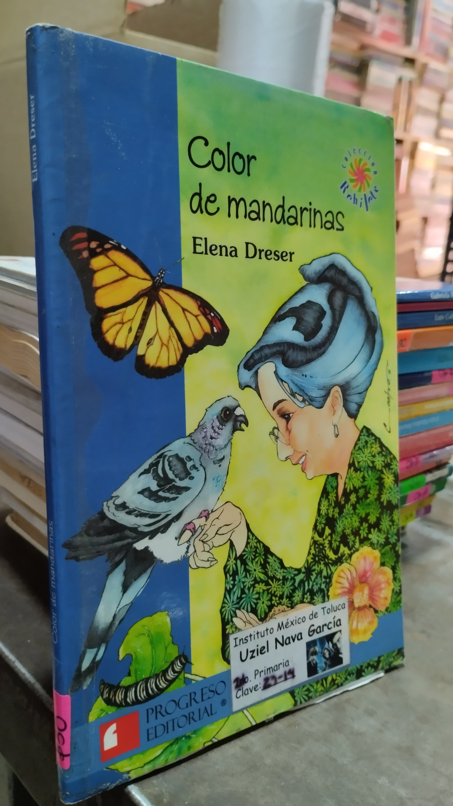COLOR DE MANDARINAS POR ELENA DRESER LIBRO USADO INFANTIL ALDAMA