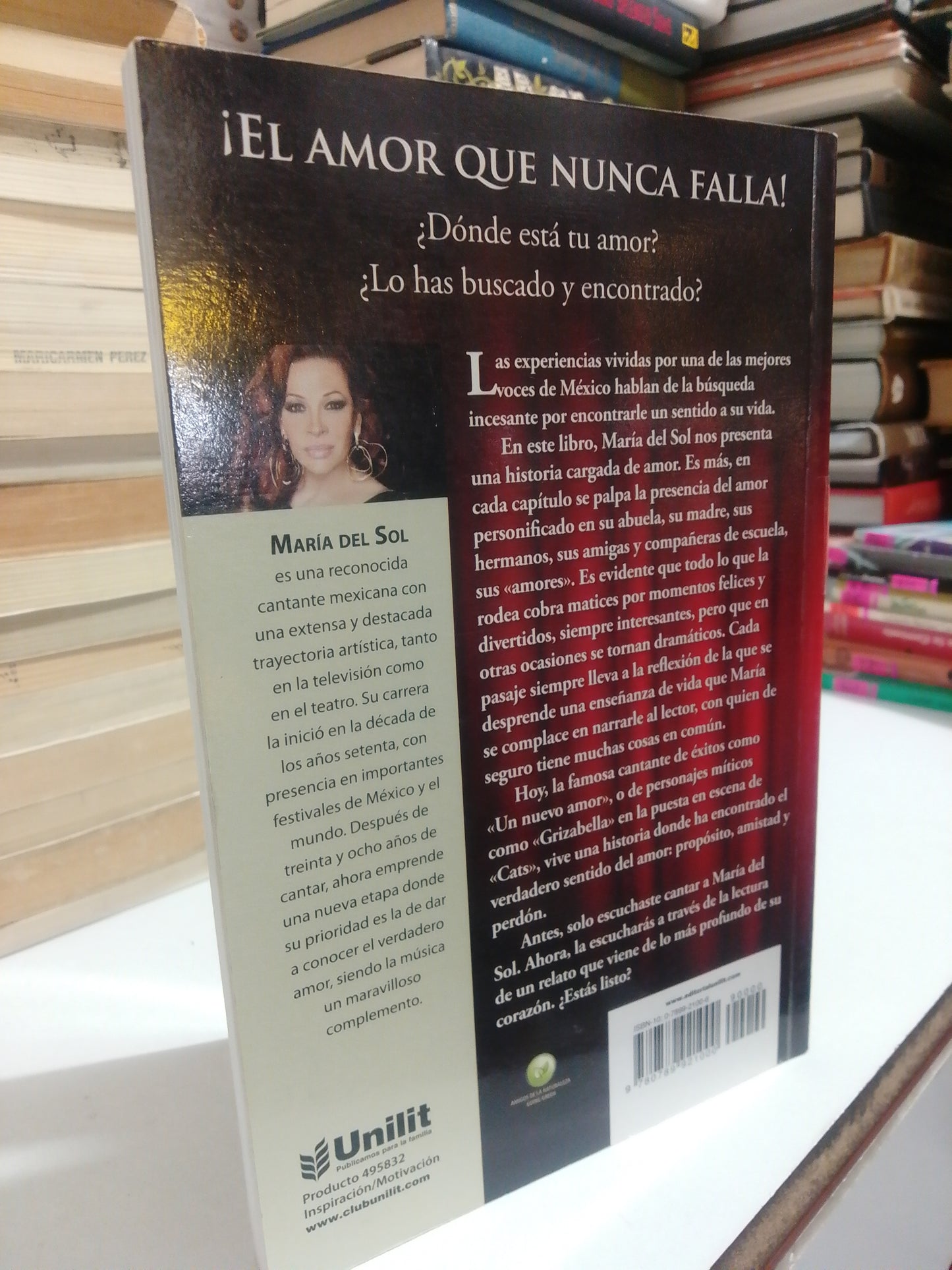 UN NUEVO AMOR ENTRE LA MÚSICA Y EL ARTE POR MARÍA DEL SOL USADO NOVELA JUÁREZ