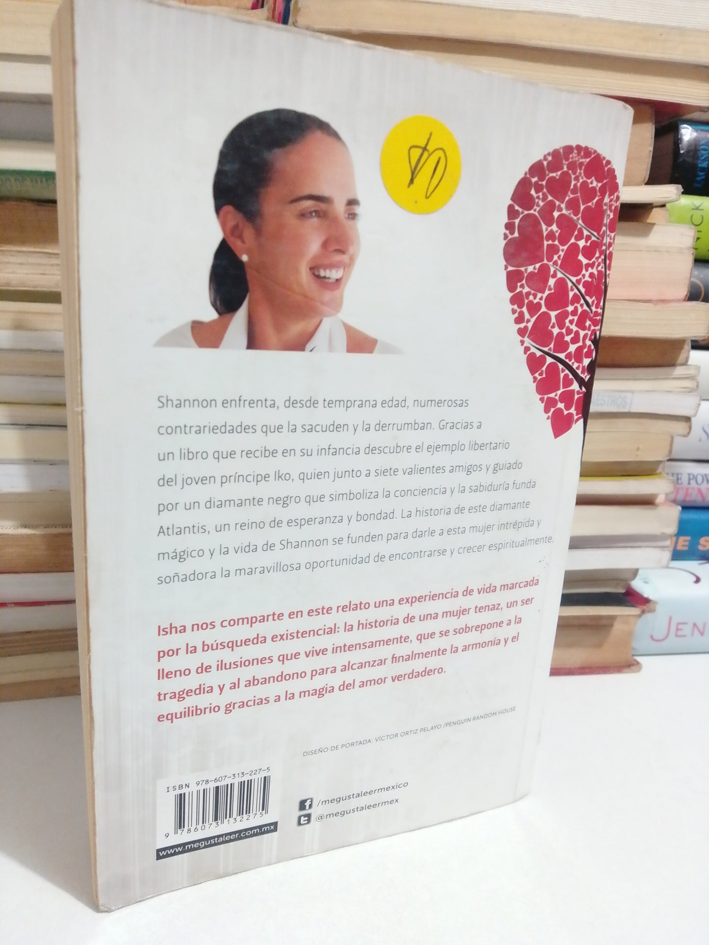 EL AMOR SOBRE TODAS LAS COSAS POR ISHA USADO NOVELA JUÁREZ